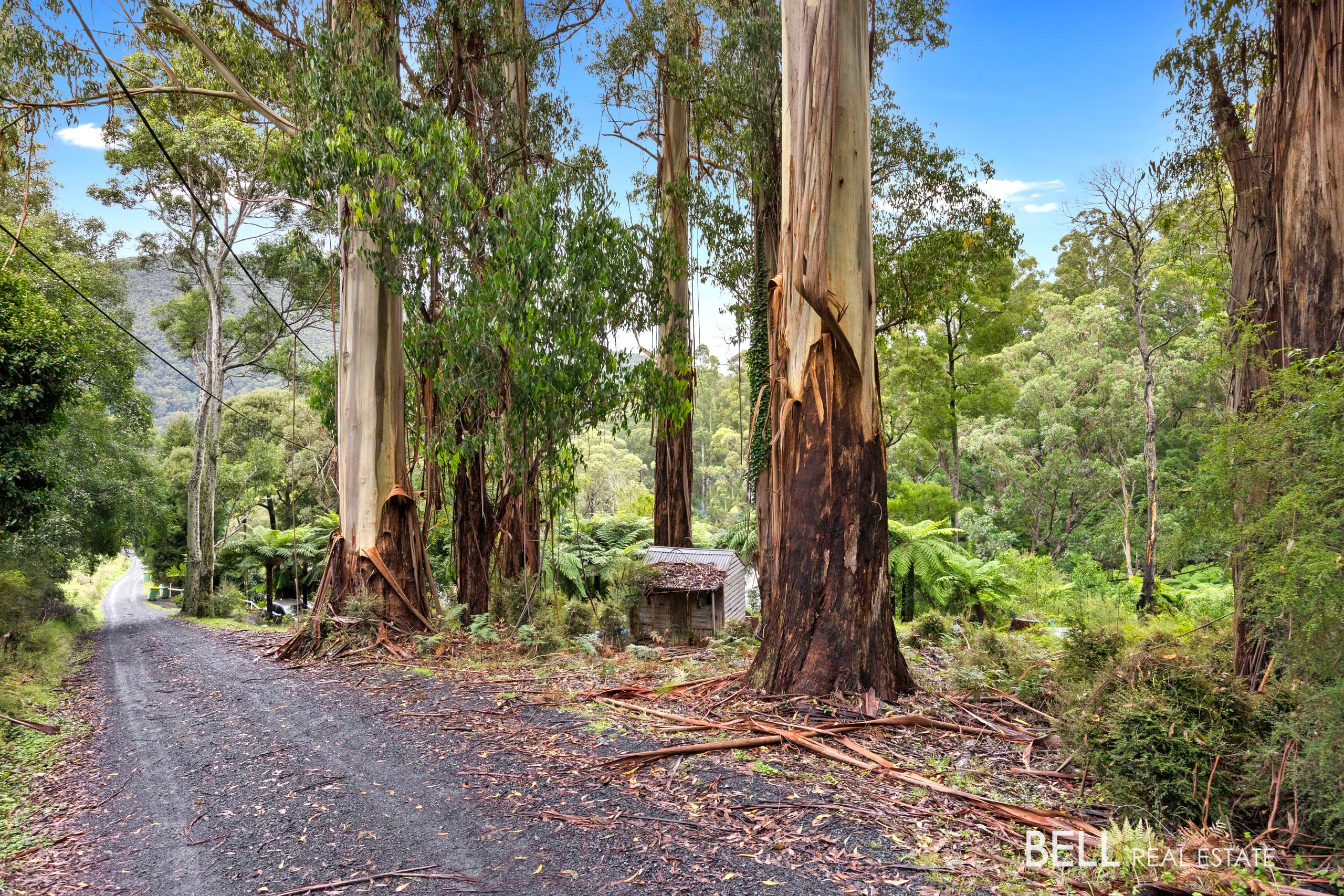 2 Essex Street, WARBURTON, Warburton - Thumbnail 8