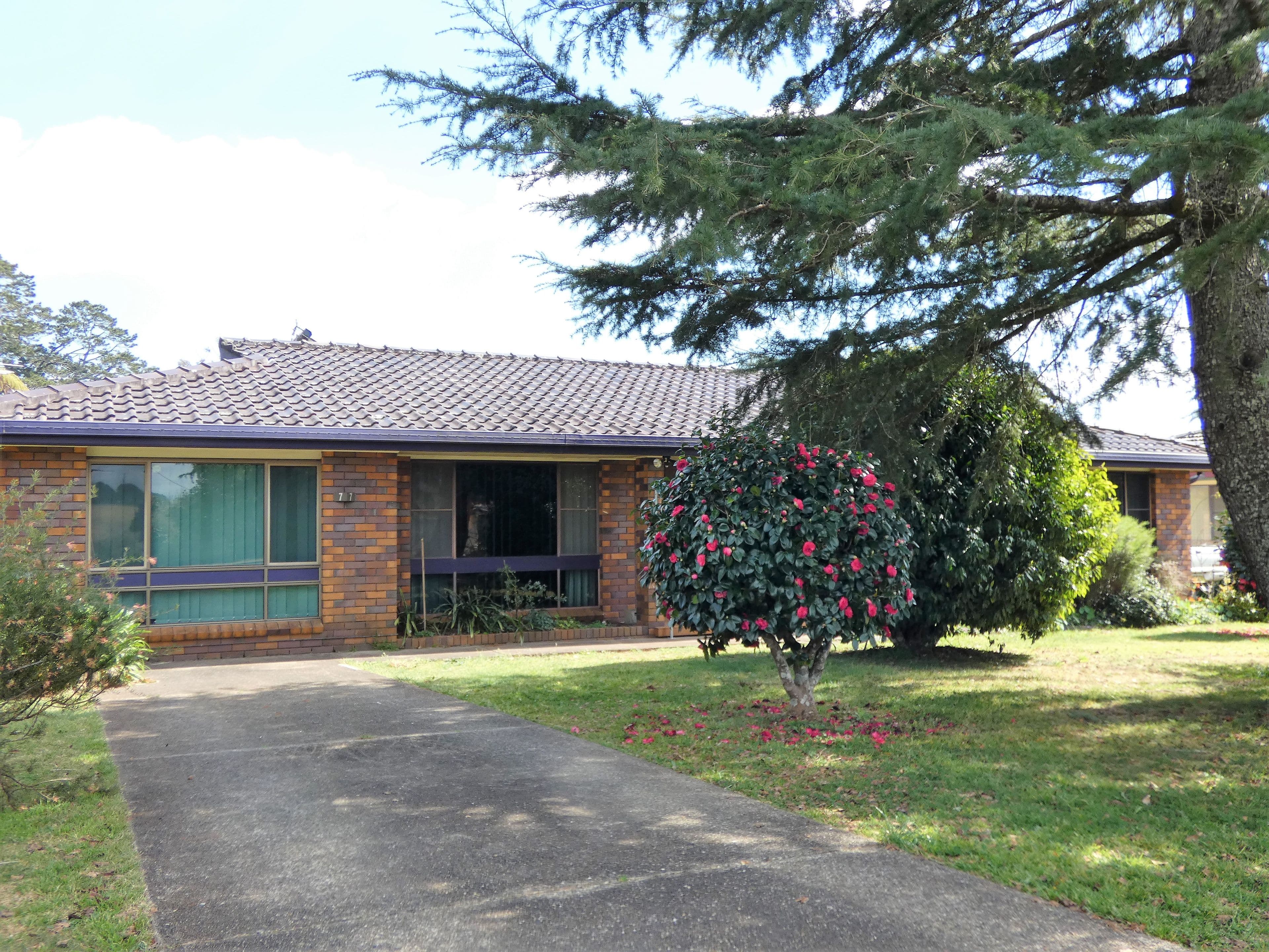 Dorrigo NSW 2453, Dorrigo - Image 1