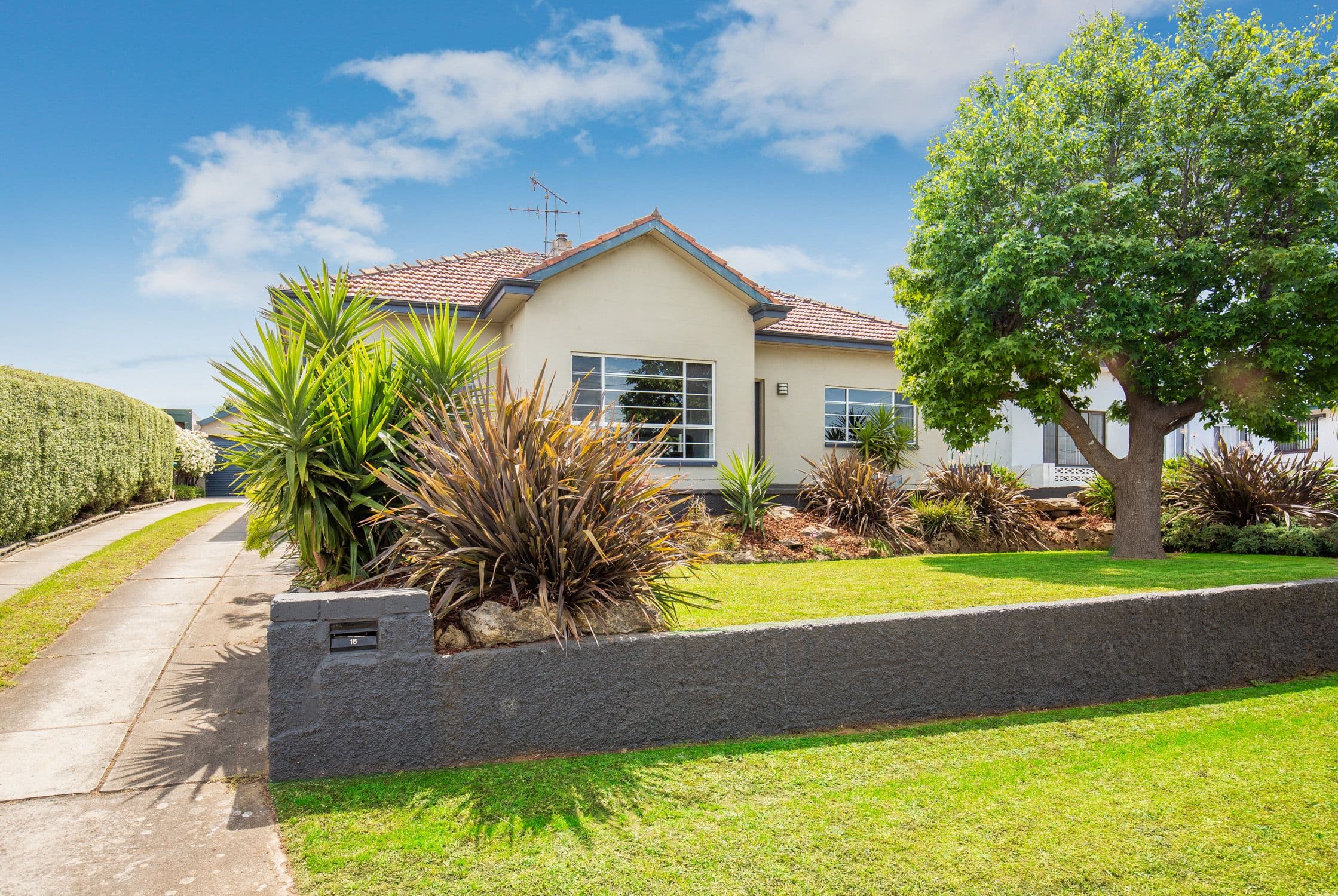 16 Montgomery Avenue, Mount Gambier SA 5290, Mount Gambier - Image 1