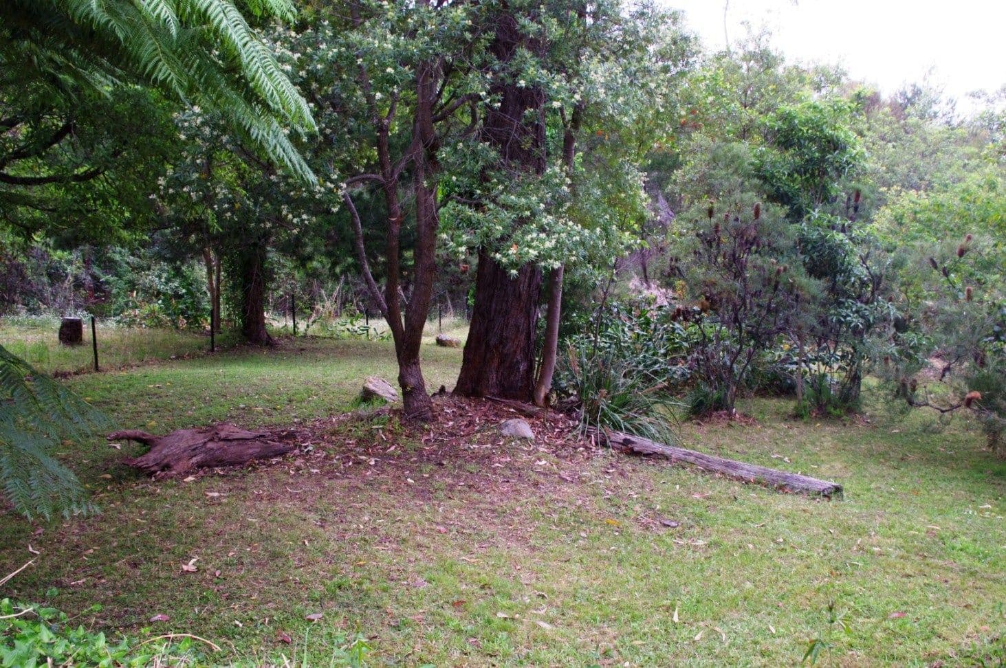 299 Lieutenant Bowen Drive, BOWEN MOUNTAIN NSW 2753, Bowen Mountain - Thumbnail 5