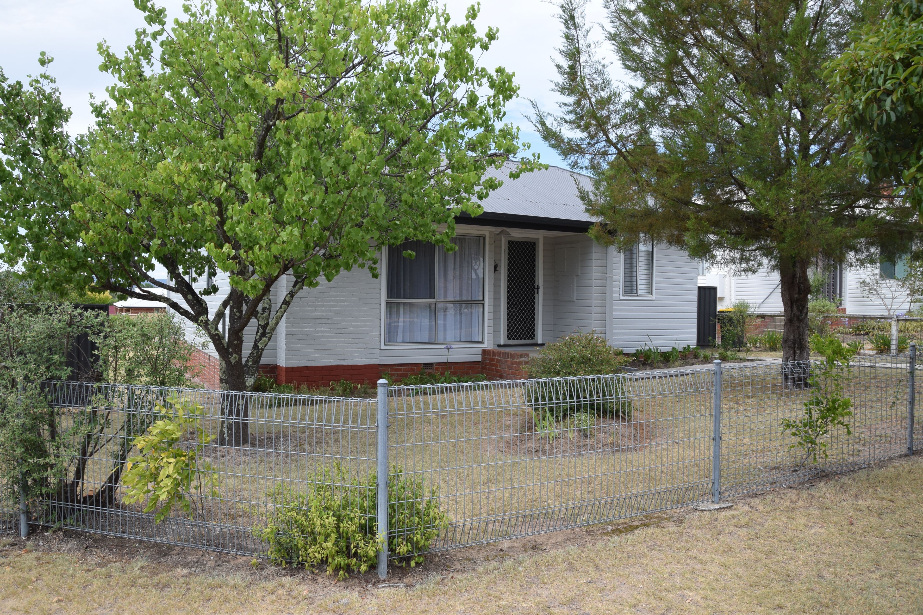 104 Douglas Street, Tenterfield - Image 1