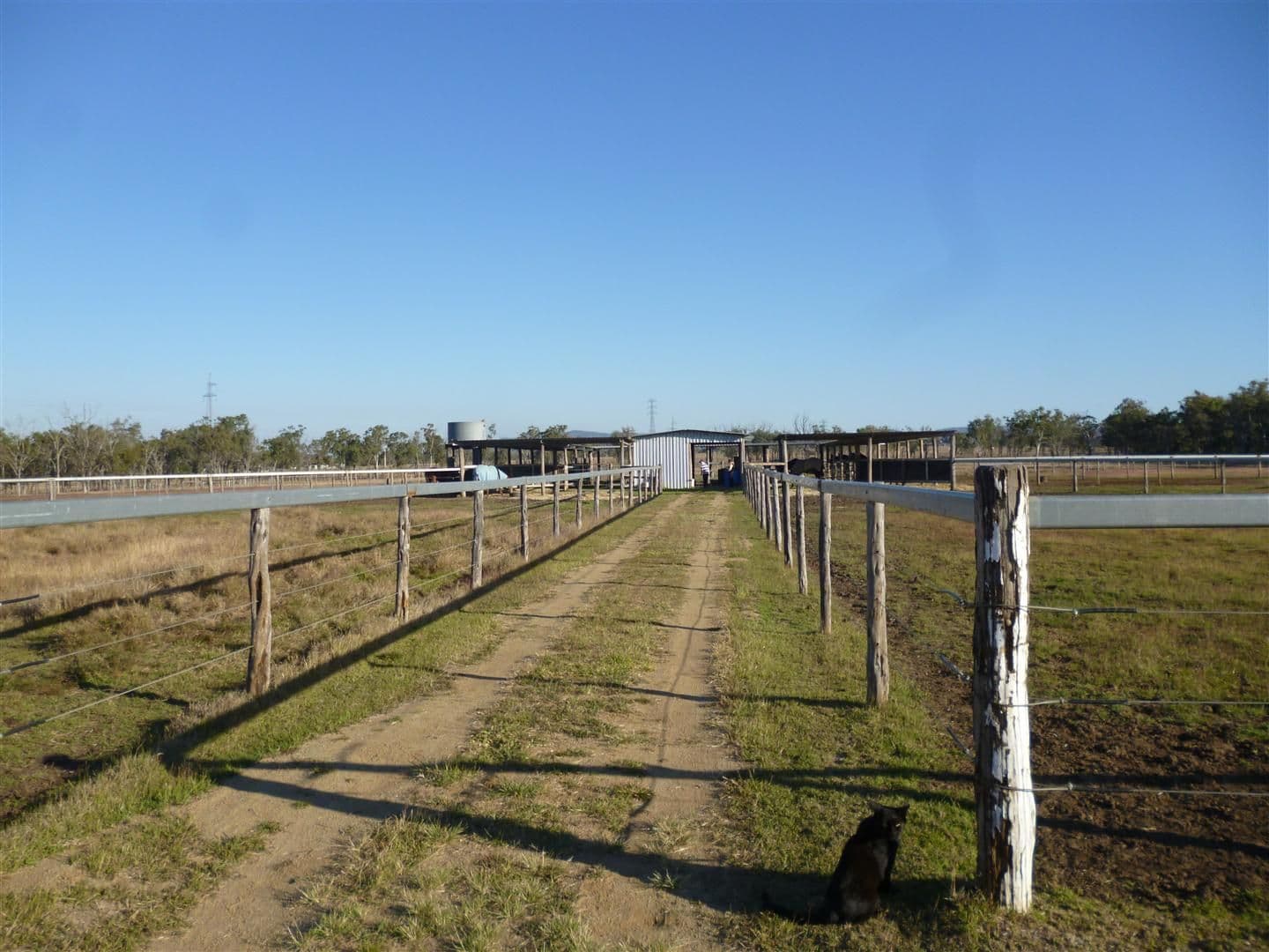 465 Gavial-Gracemere Road, BOULDERCOMBE QLD 4702, Bouldercombe - Thumbnail 7