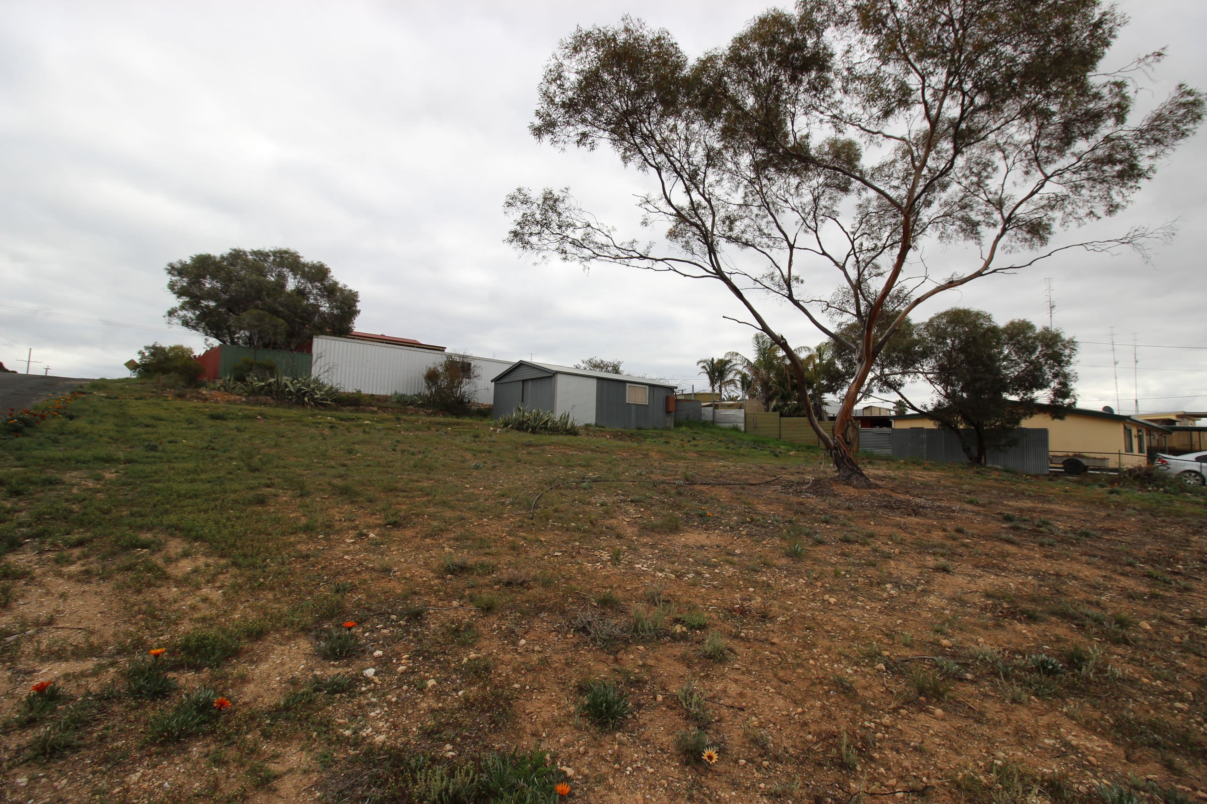 33 Upcher Street, BLANCHETOWN SA 5357, Blanchetown - Thumbnail 3