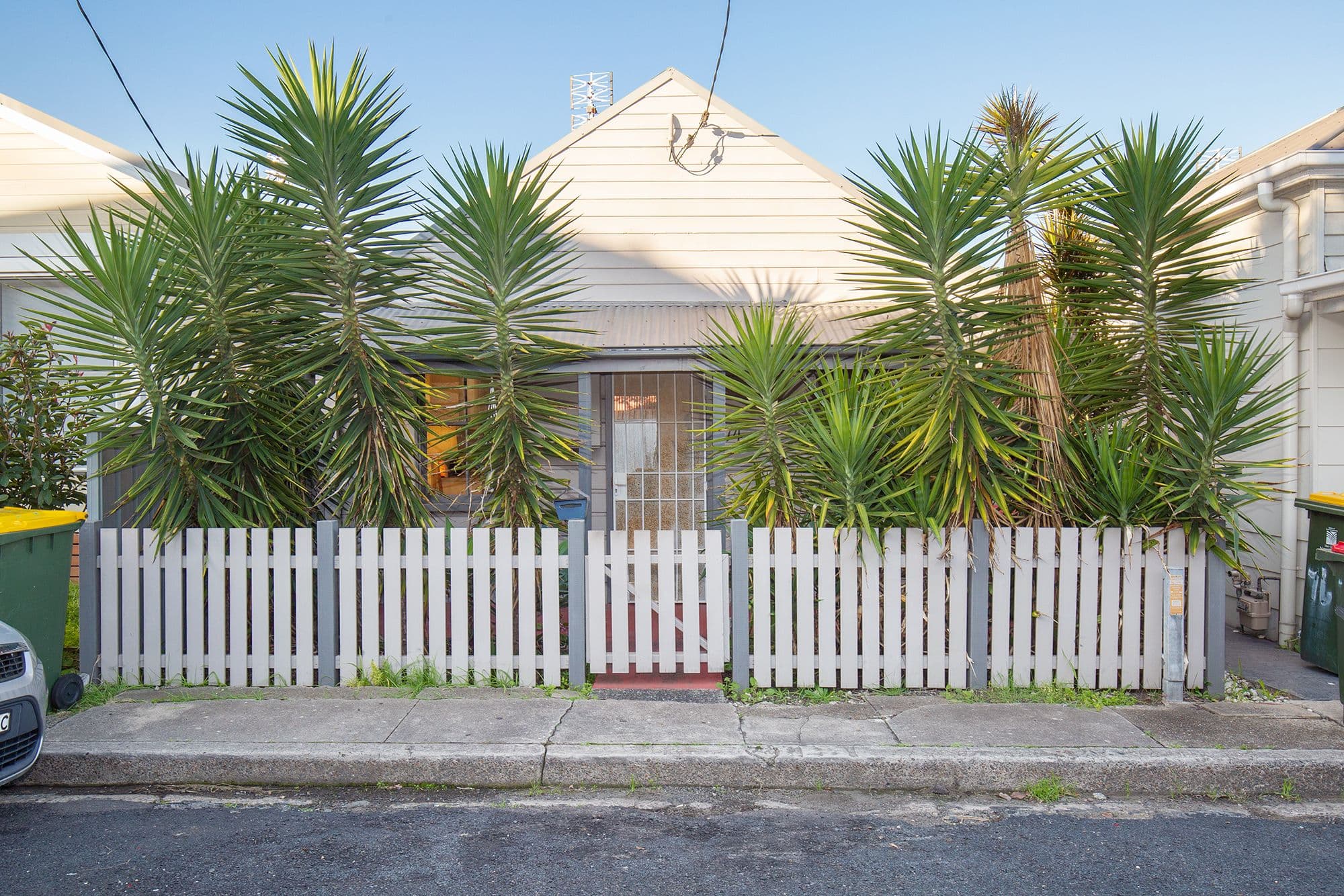 74 Rodgers Street, Carrington NSW 2294, Carrington - Image 1