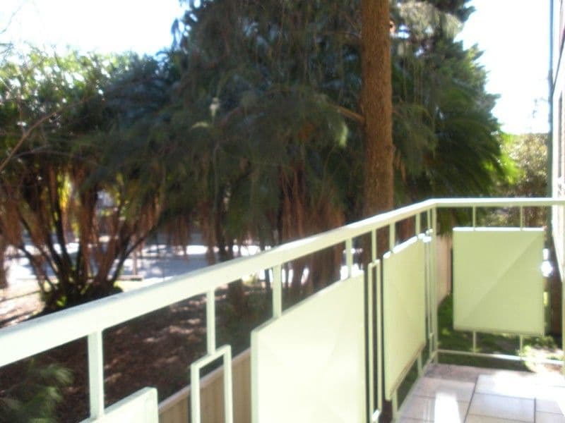 520 New Canterbury Road, DULWICH HILL NSW 2203, Dulwich Hill - Thumbnail 2
