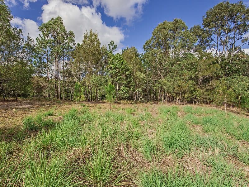 1 Pinewood Street, UPPER COOMERA QLD 4209, Upper Coomera - Image 1