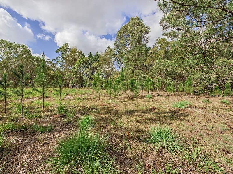 1 Pinewood Street, UPPER COOMERA QLD 4209, Upper Coomera - Thumbnail 3