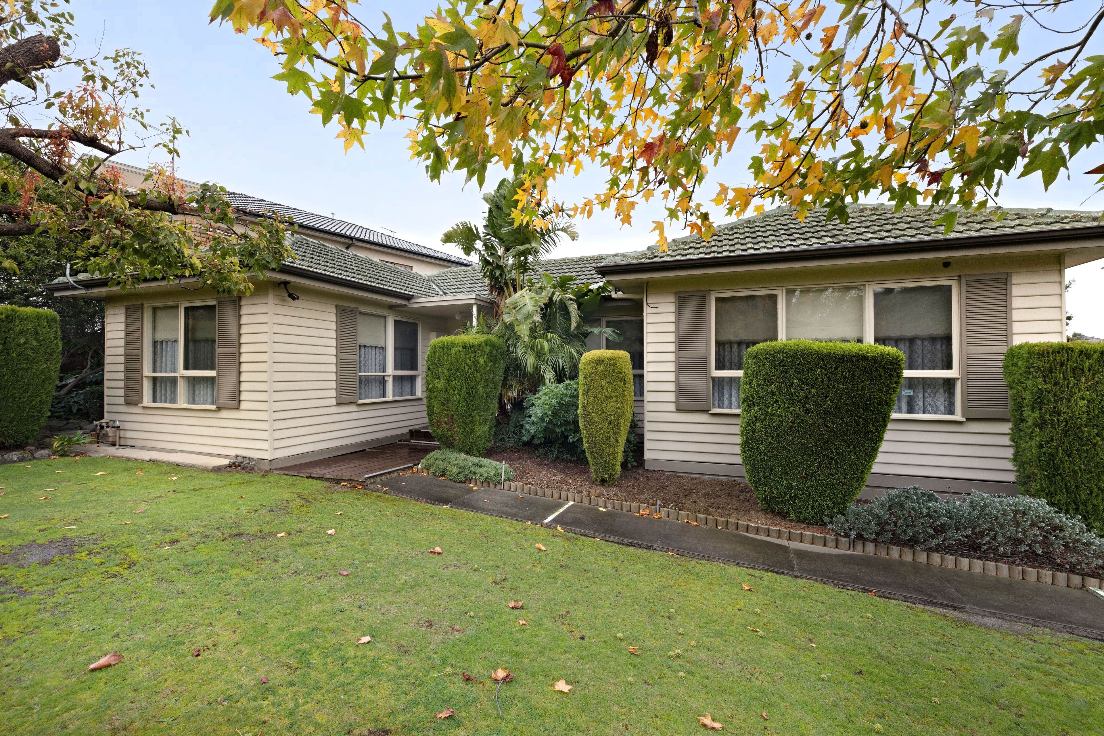 9 Hayfield Road, Mount Waverley VIC 3149, Mount Waverley - Thumbnail 3