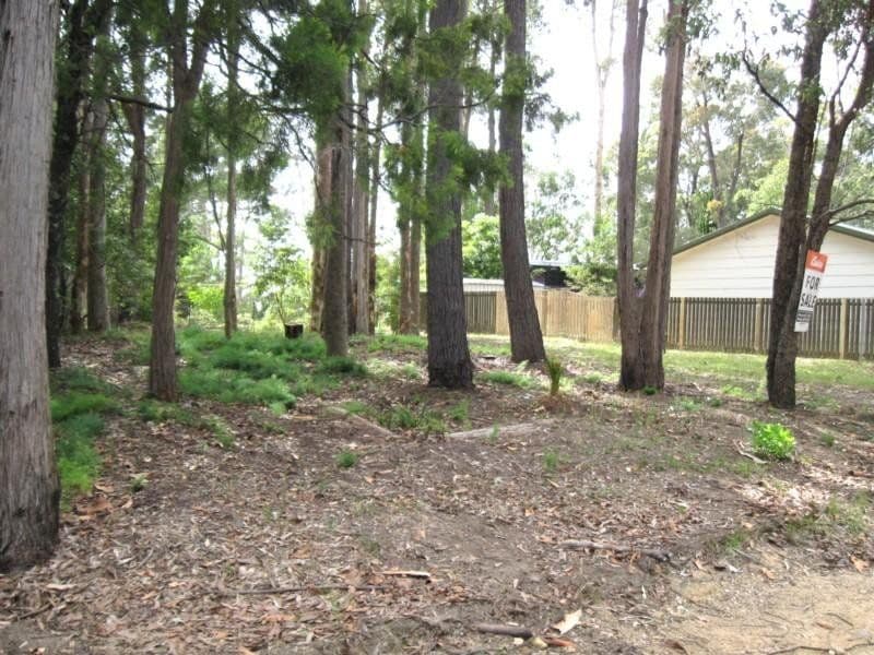 8 Annetts Parade, MOSSY POINT NSW 2537, Mossy Point - Thumbnail 8