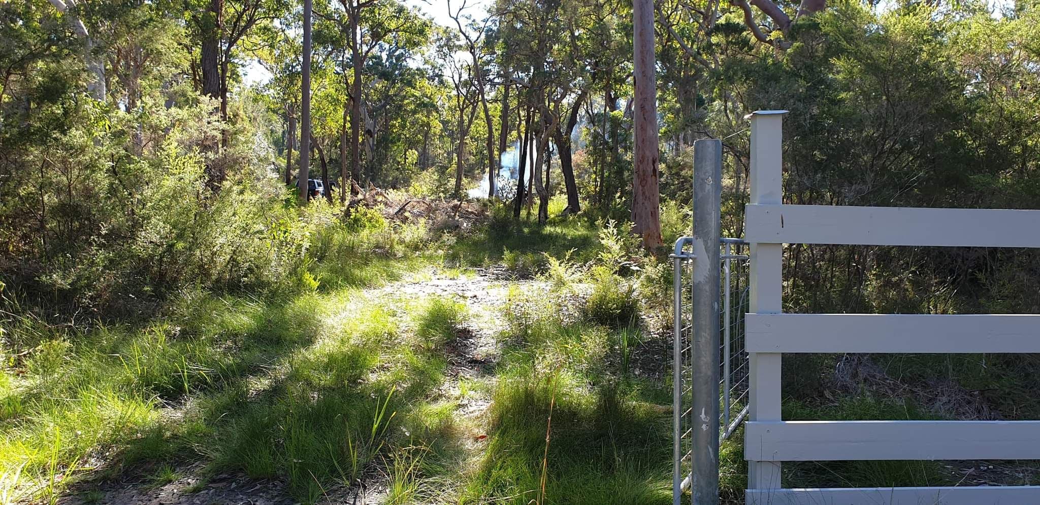 31 Central Avenue, Bundabah NSW 2324, Bundabah - Thumbnail 3