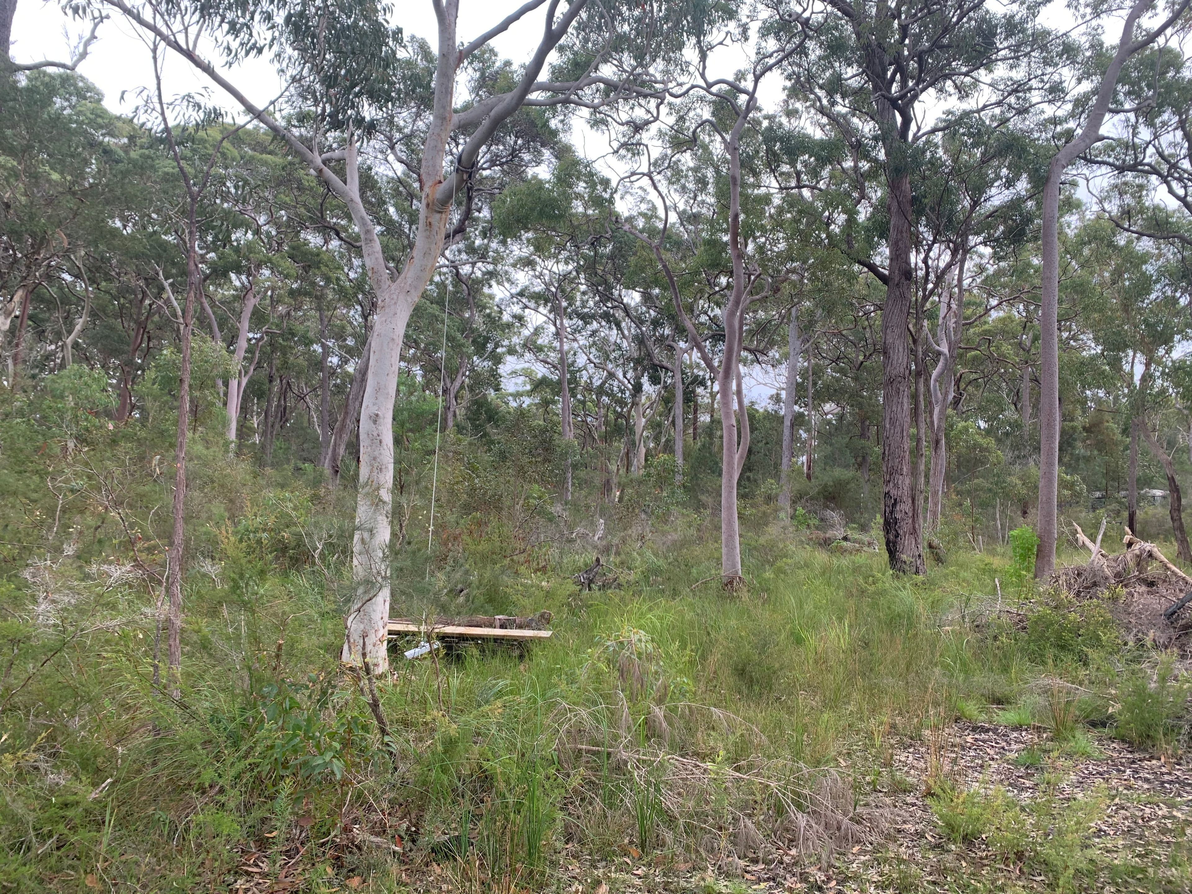 31 Central Avenue, Bundabah NSW 2324, Bundabah - Thumbnail 4