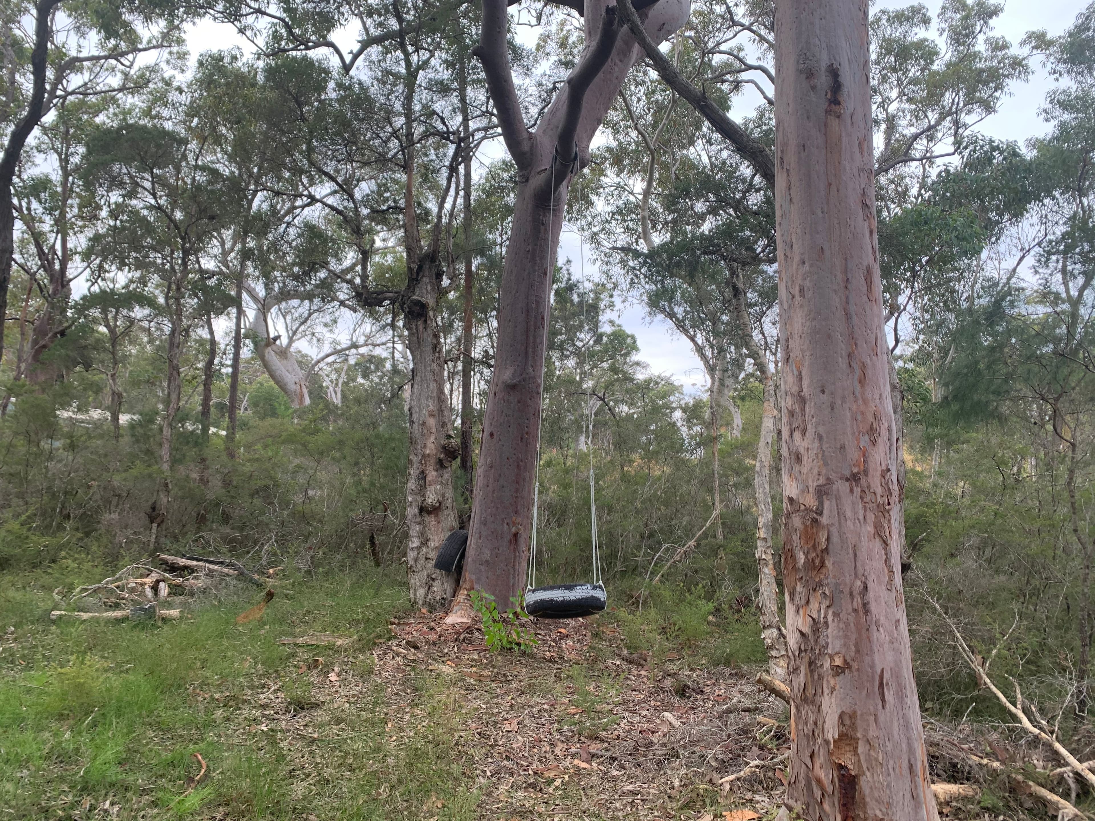 31 Central Avenue, Bundabah NSW 2324, Bundabah - Thumbnail 5