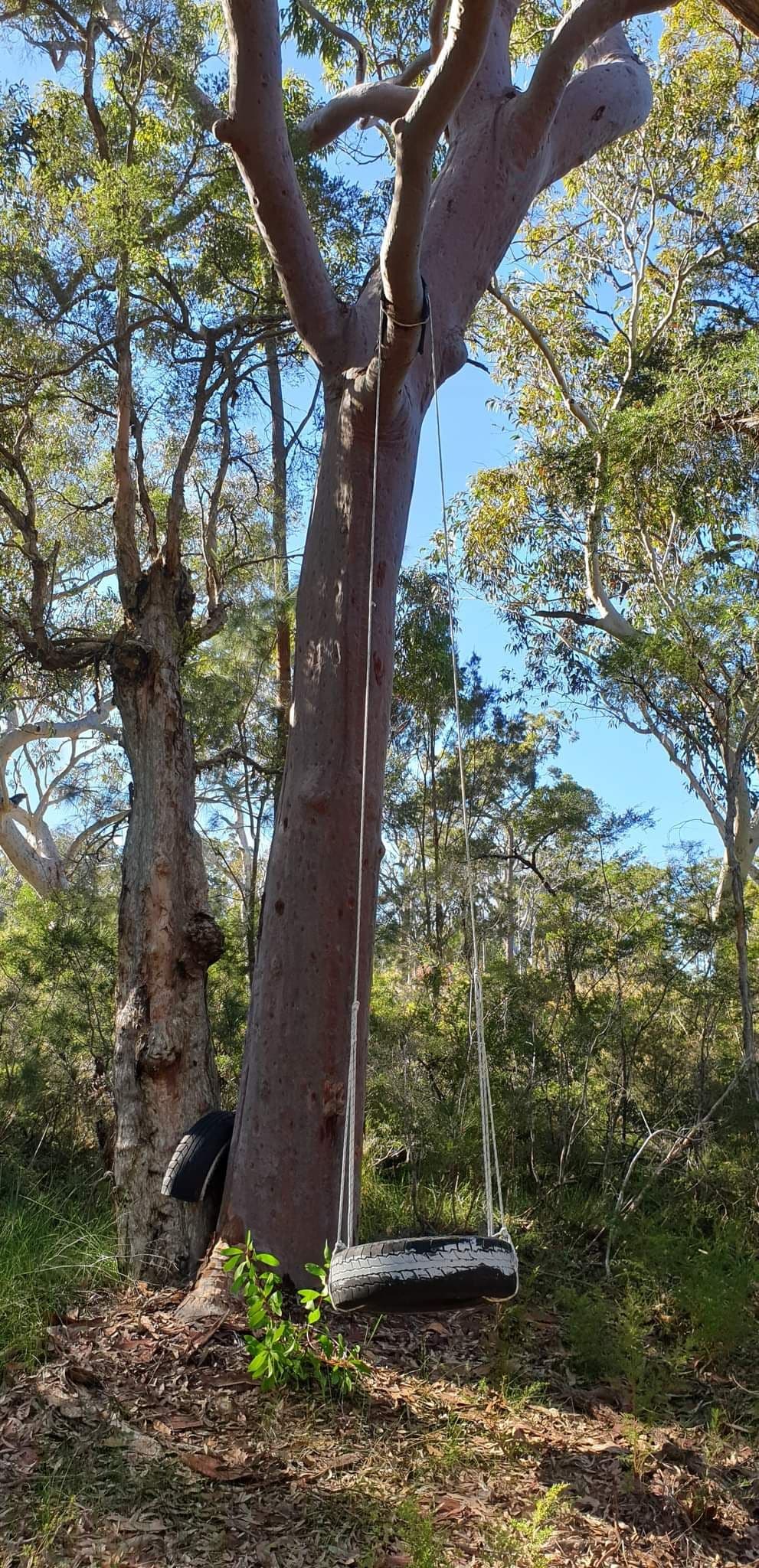 31 Central Avenue, Bundabah NSW 2324, Bundabah - Thumbnail 7