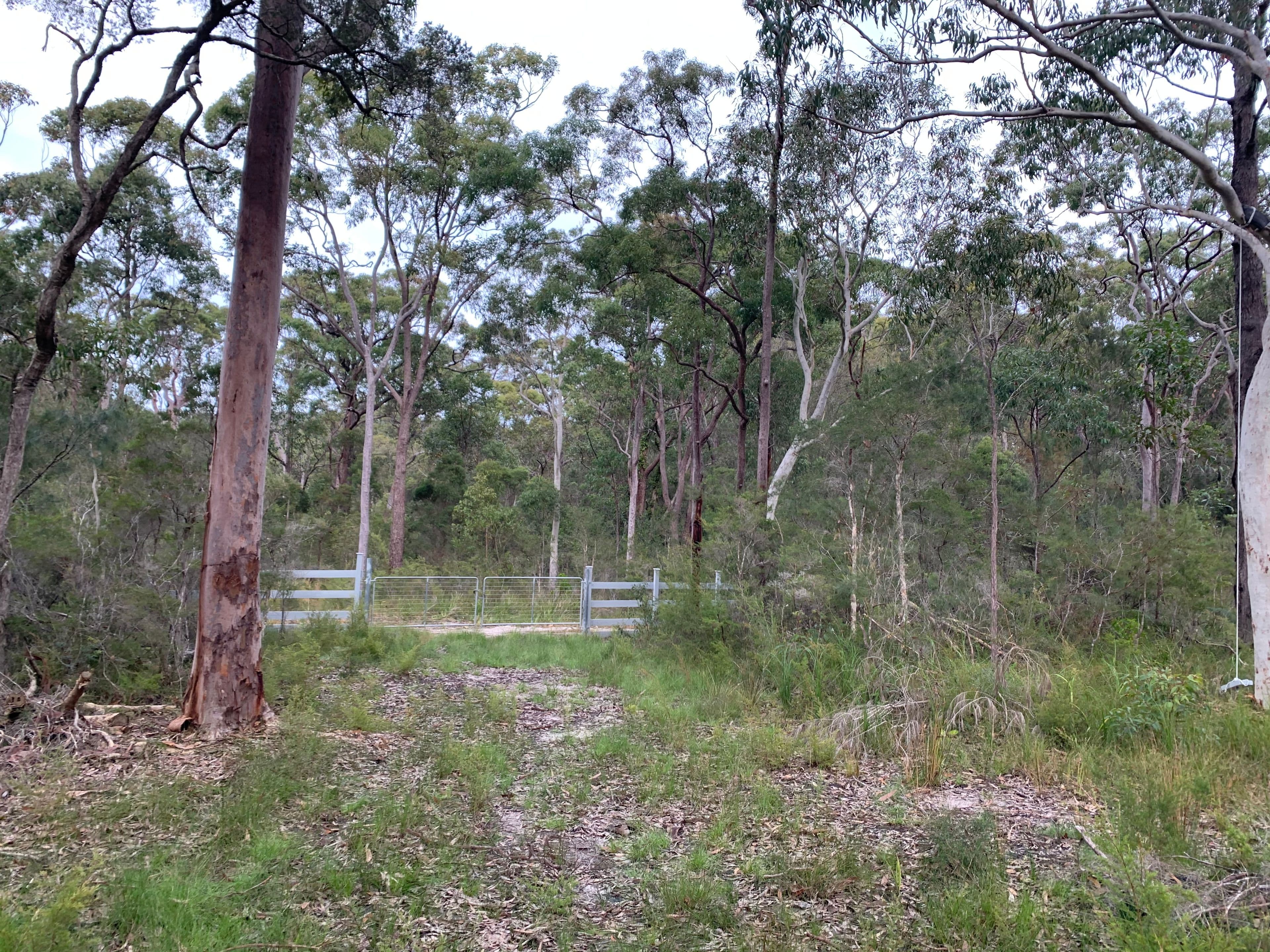 31 Central Avenue, Bundabah NSW 2324, Bundabah - Thumbnail 8