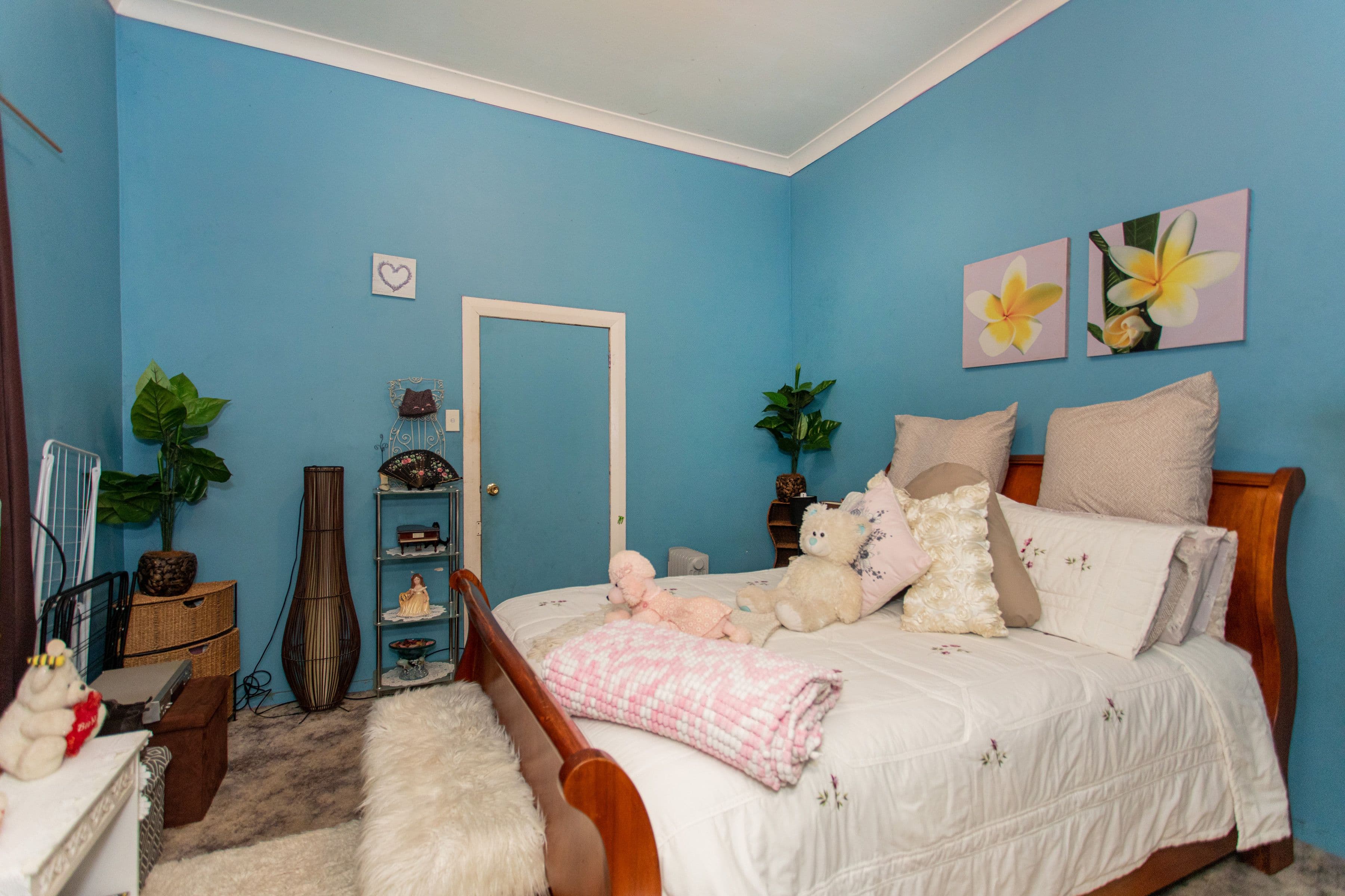 18 Radnor Street, Canowindra NSW 2804, Canowindra - Thumbnail 6