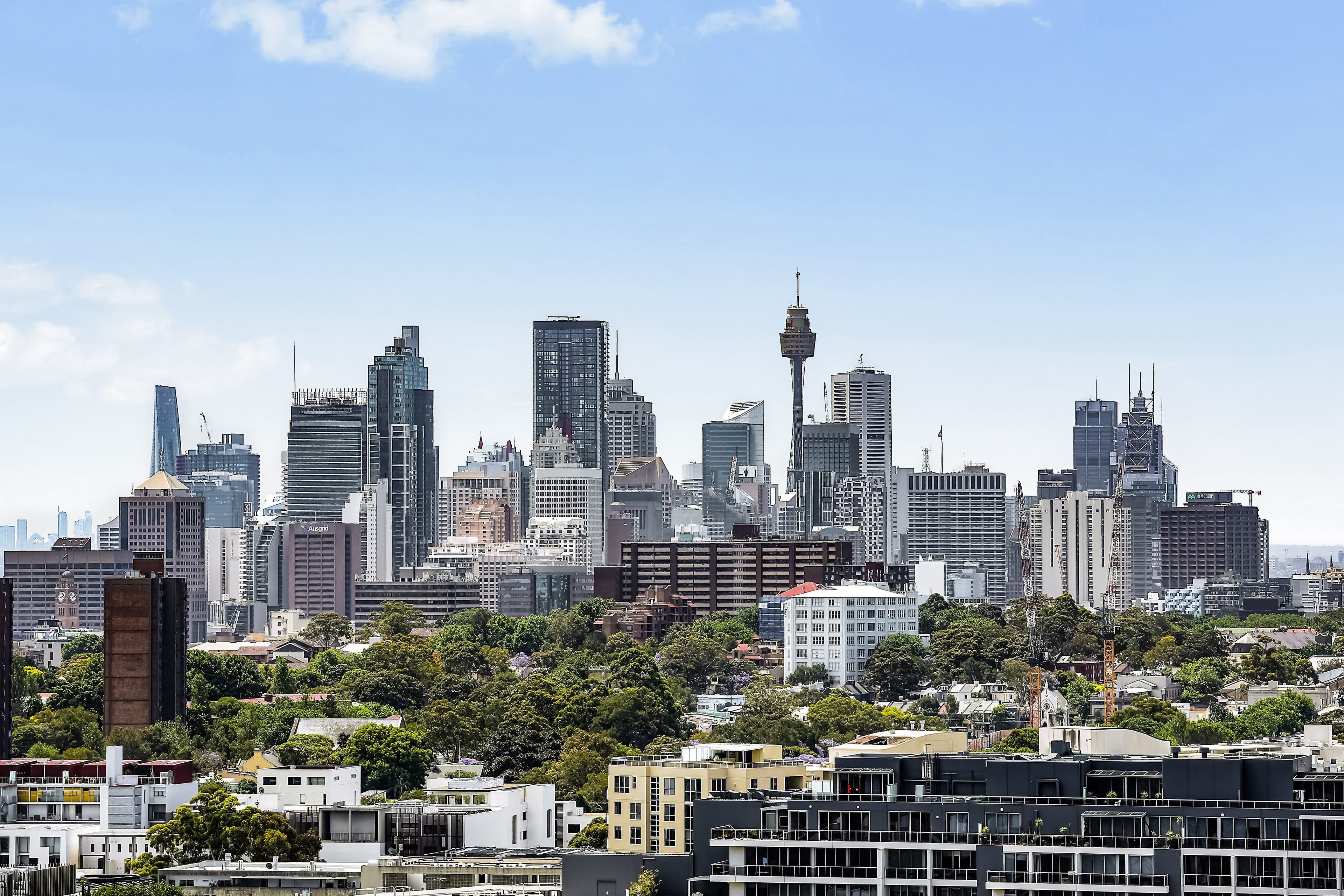 15 Gadigal Avenue, Zetland NSW 2017, Zetland - Thumbnail 8