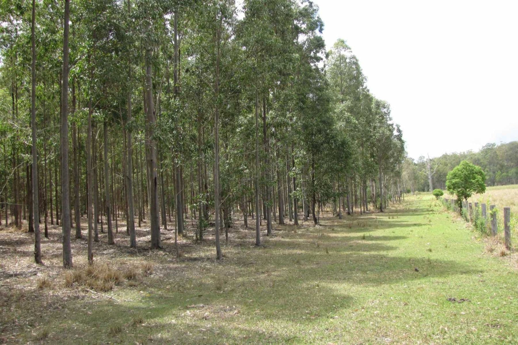 Ellangowan NSW 2470, Ellangowan - Thumbnail 4