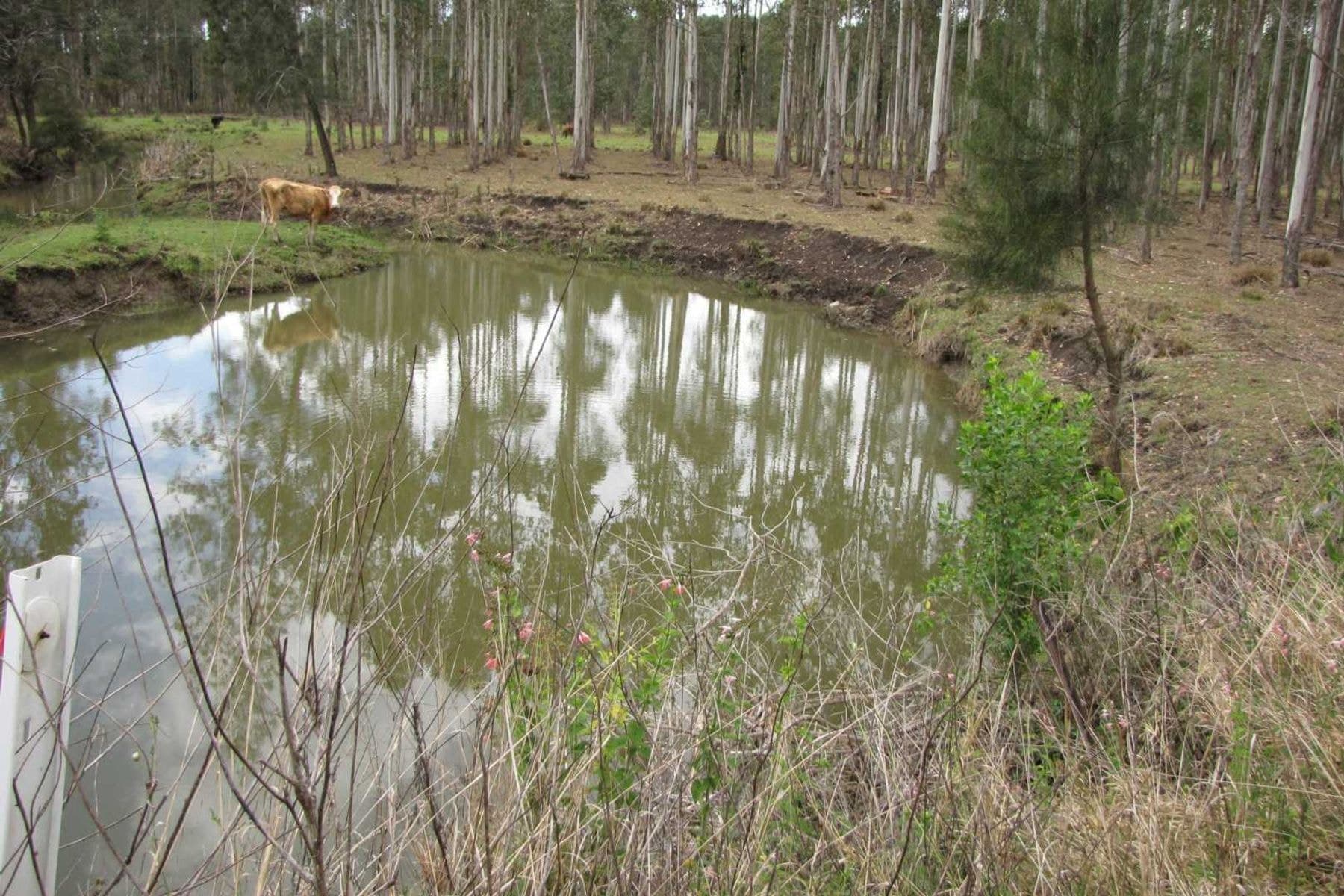 Ellangowan NSW 2470, Ellangowan - Thumbnail 5