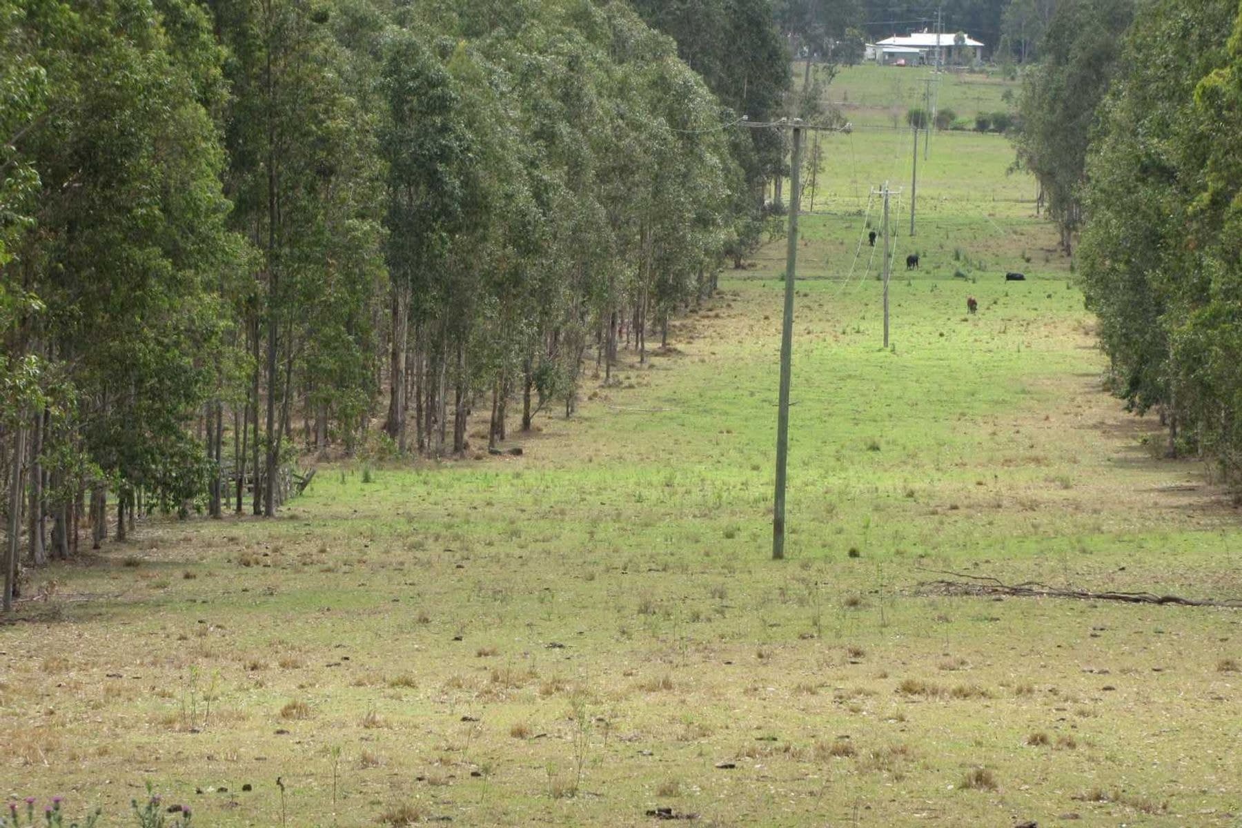Ellangowan NSW 2470, Ellangowan - Thumbnail 7