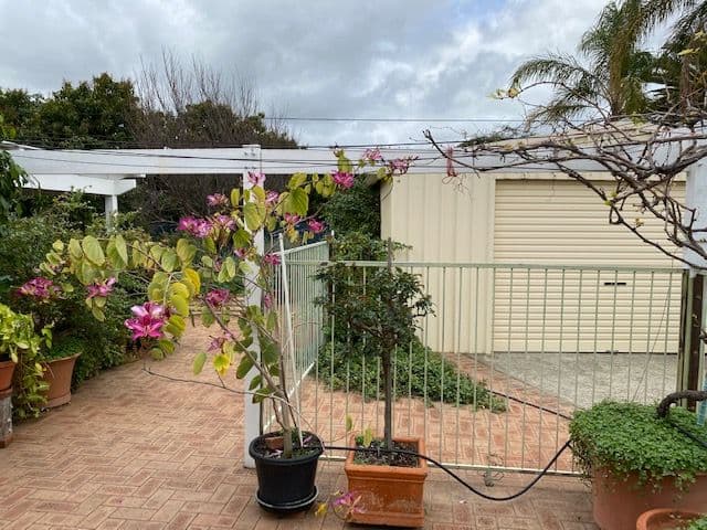 34 Astinal Drive, Gosnells WA 6110, Gosnells - Thumbnail 6