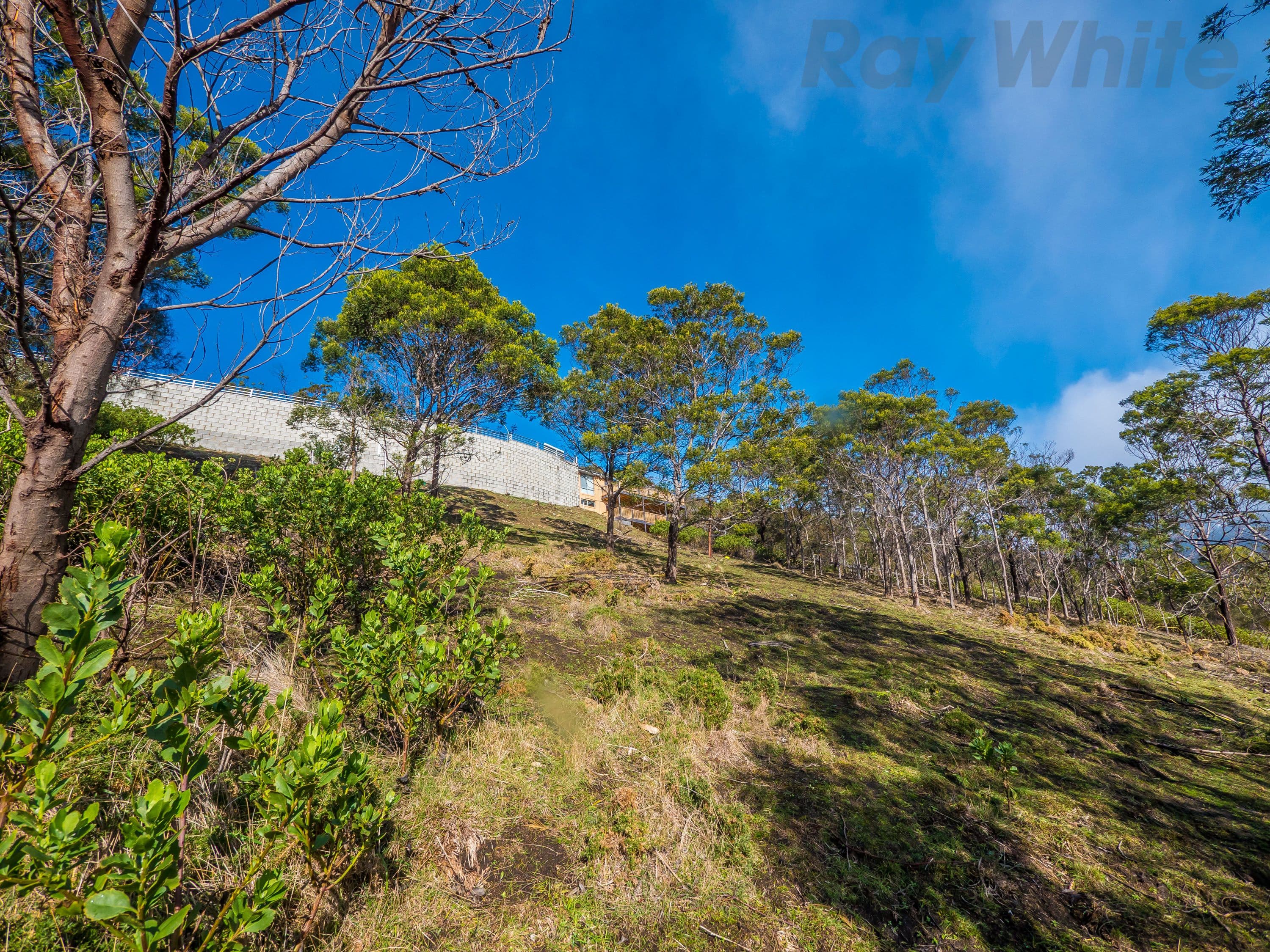 5 McDevitt Avenue, DYNNYRNE TAS 7005, Dynnyrne - Image 1