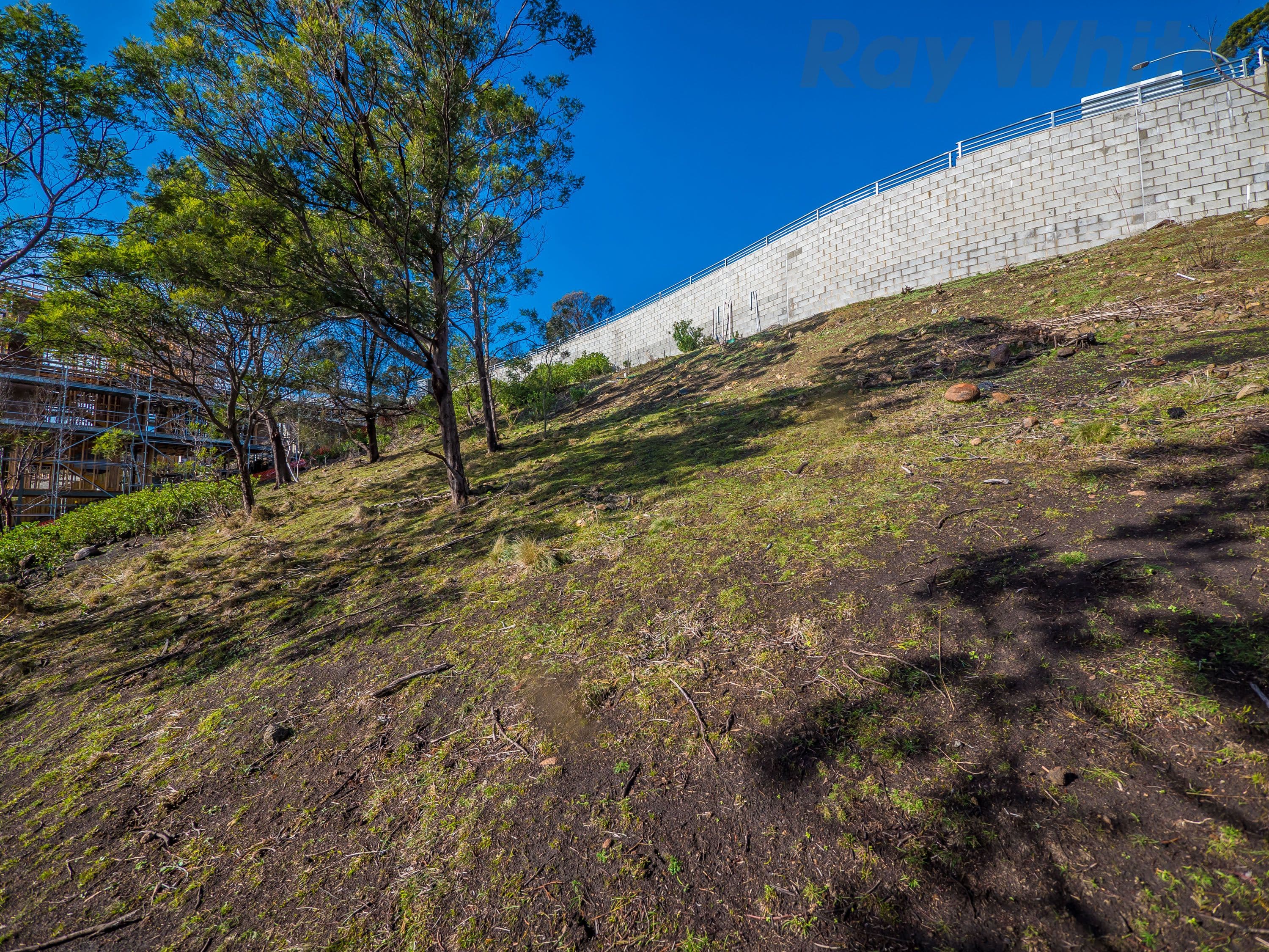 5 McDevitt Avenue, DYNNYRNE TAS 7005, Dynnyrne - Thumbnail 4