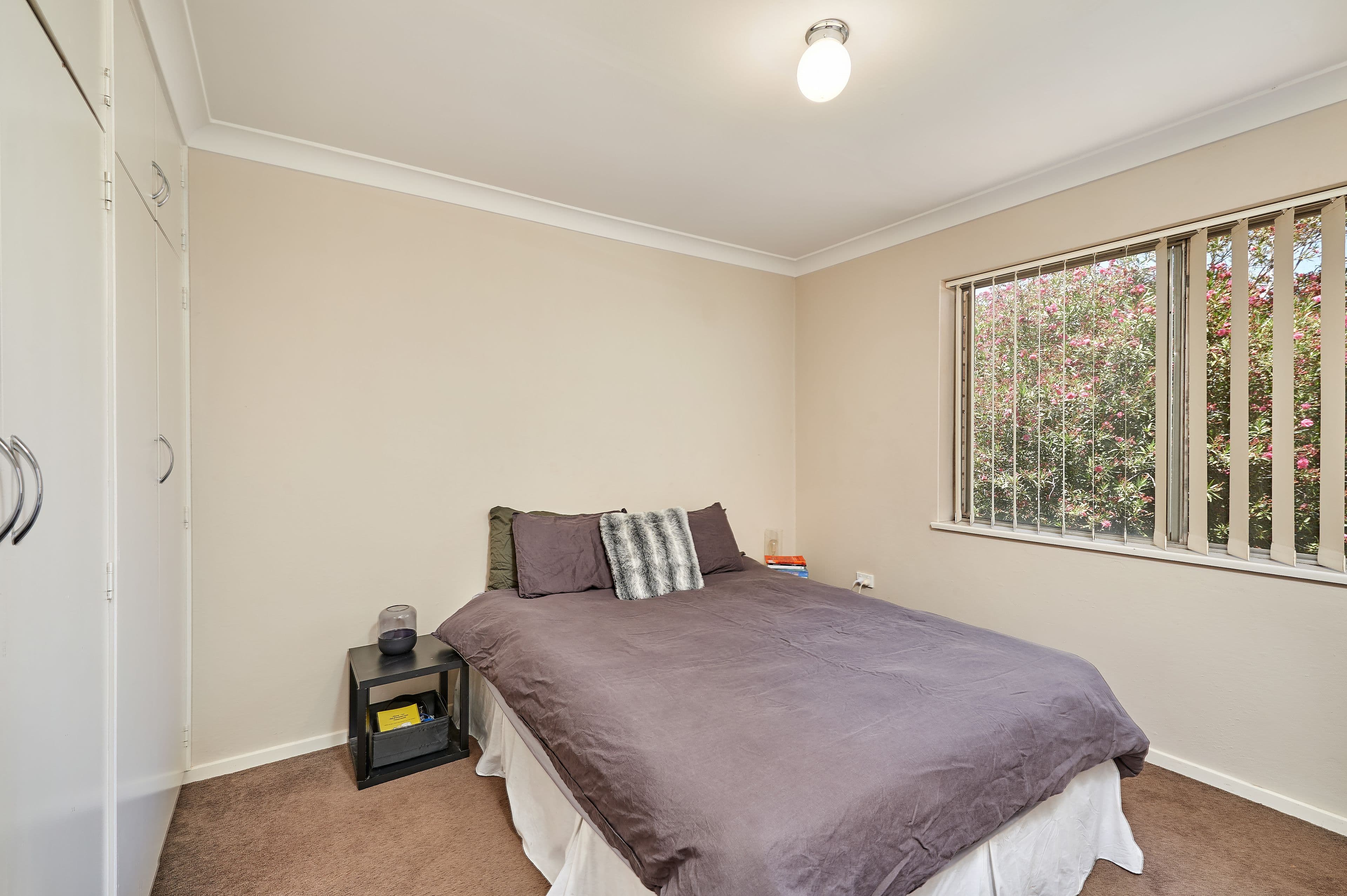 49 Simmons Street, Wagga Wagga - Thumbnail 4