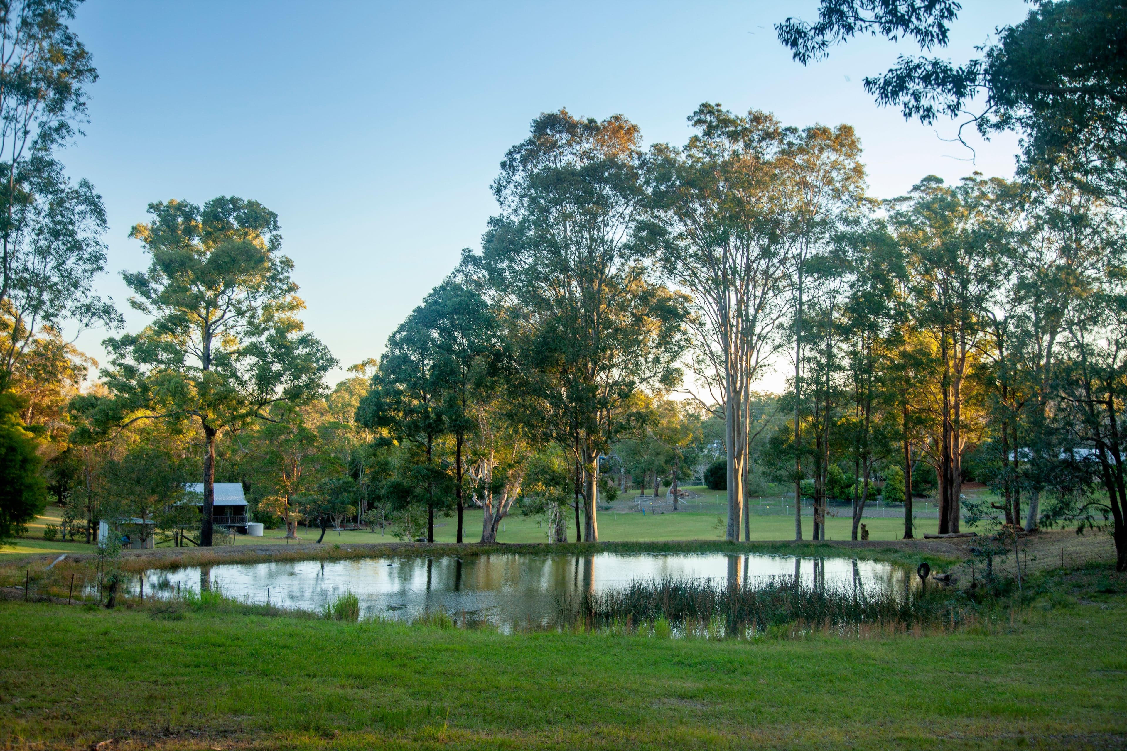 23 Chelmsbrook Drive, Rainbow Flat NSW 2430, Rainbow Flat - Thumbnail 2
