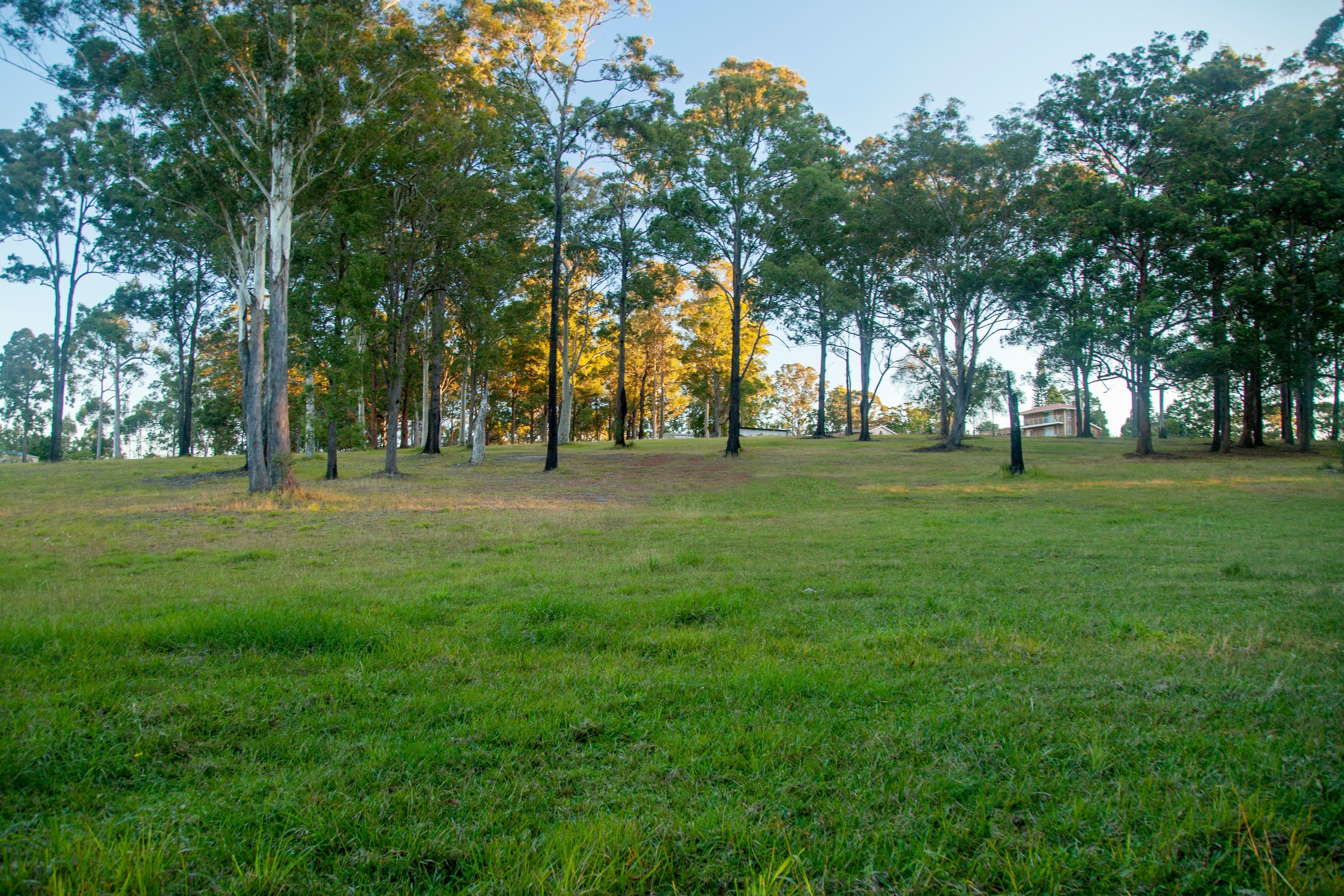 23 Chelmsbrook Drive, Rainbow Flat NSW 2430, Rainbow Flat - Thumbnail 5