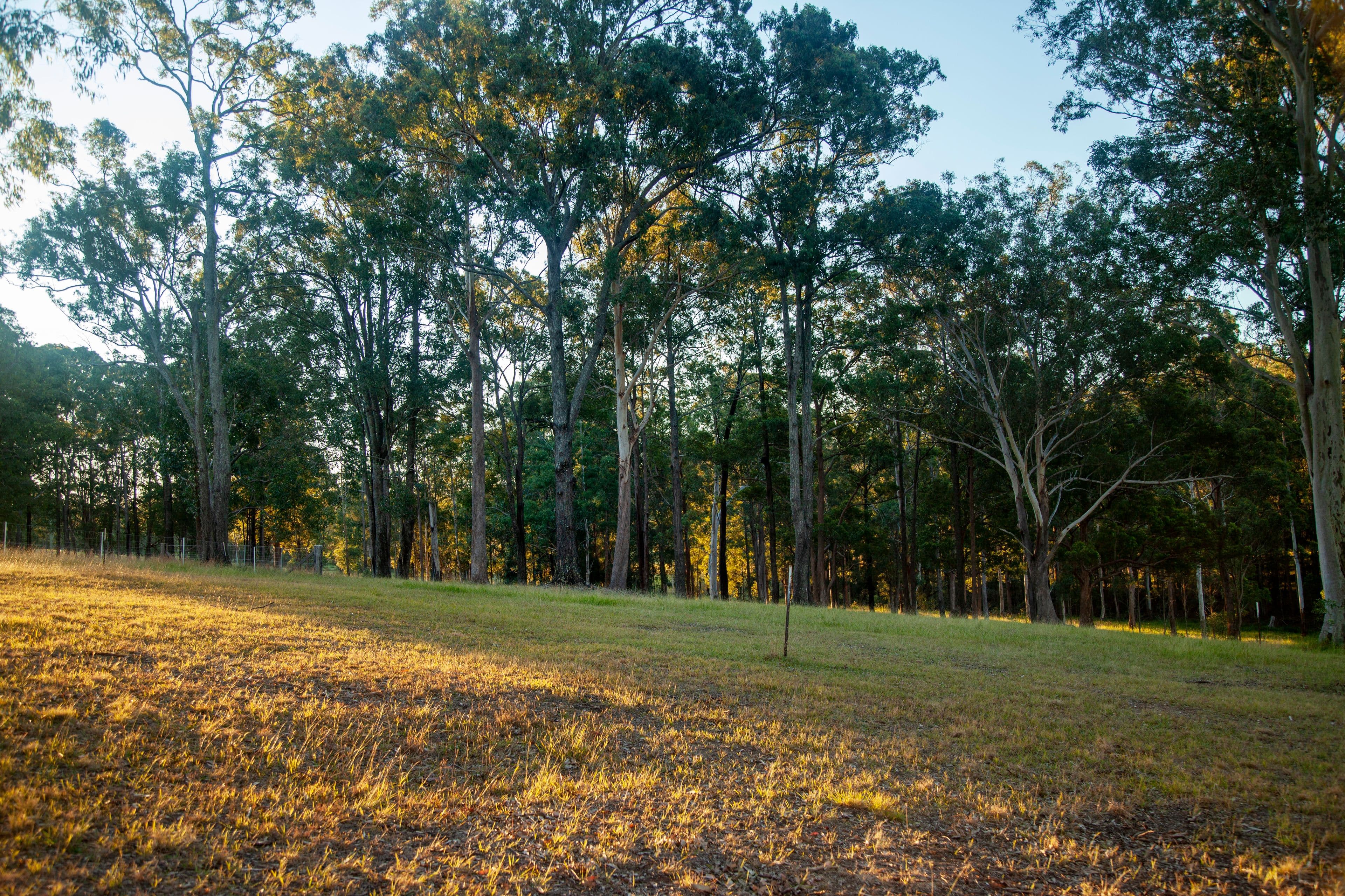 23 Chelmsbrook Drive, Rainbow Flat NSW 2430, Rainbow Flat - Thumbnail 6
