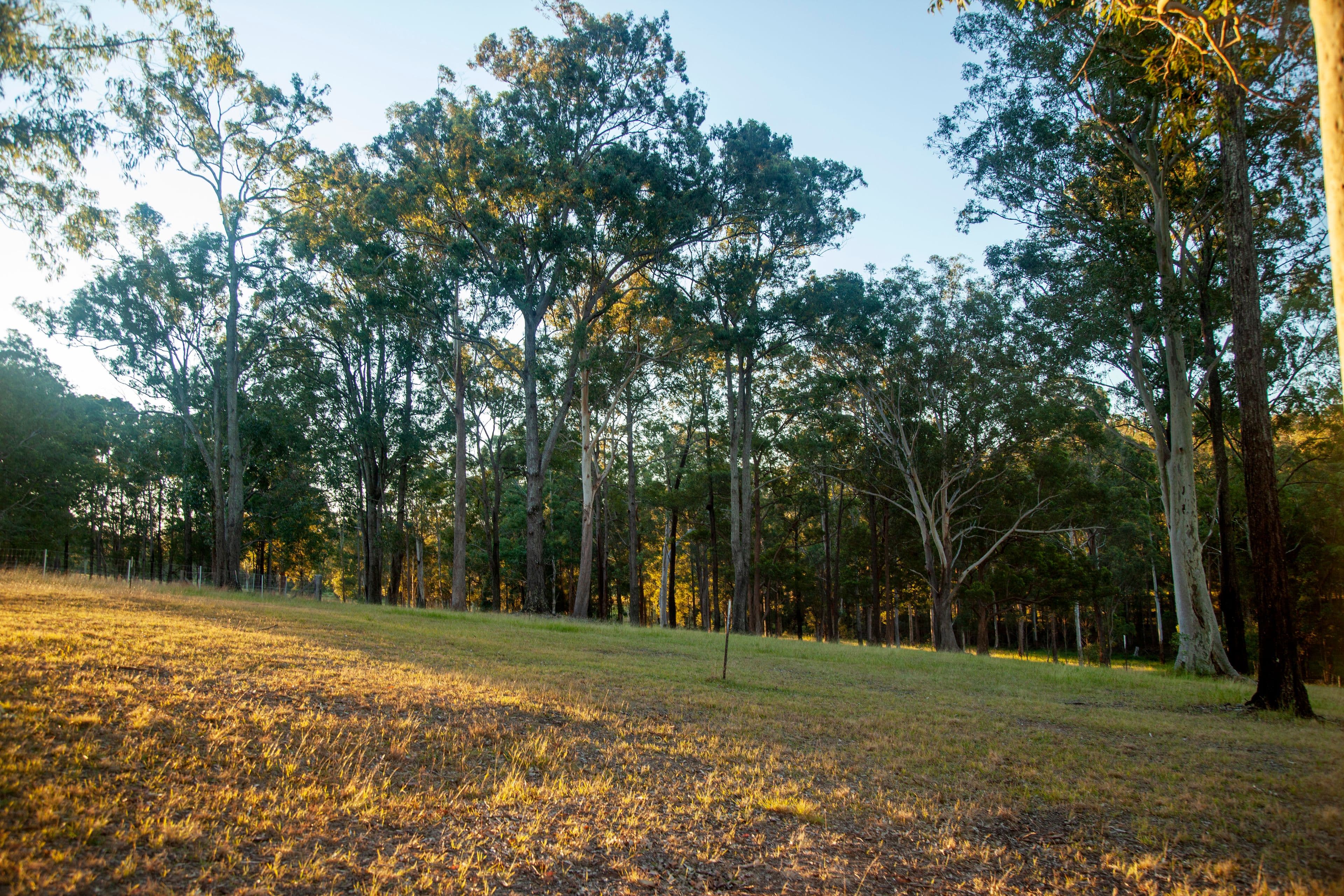 23 Chelmsbrook Drive, Rainbow Flat NSW 2430, Rainbow Flat - Thumbnail 7