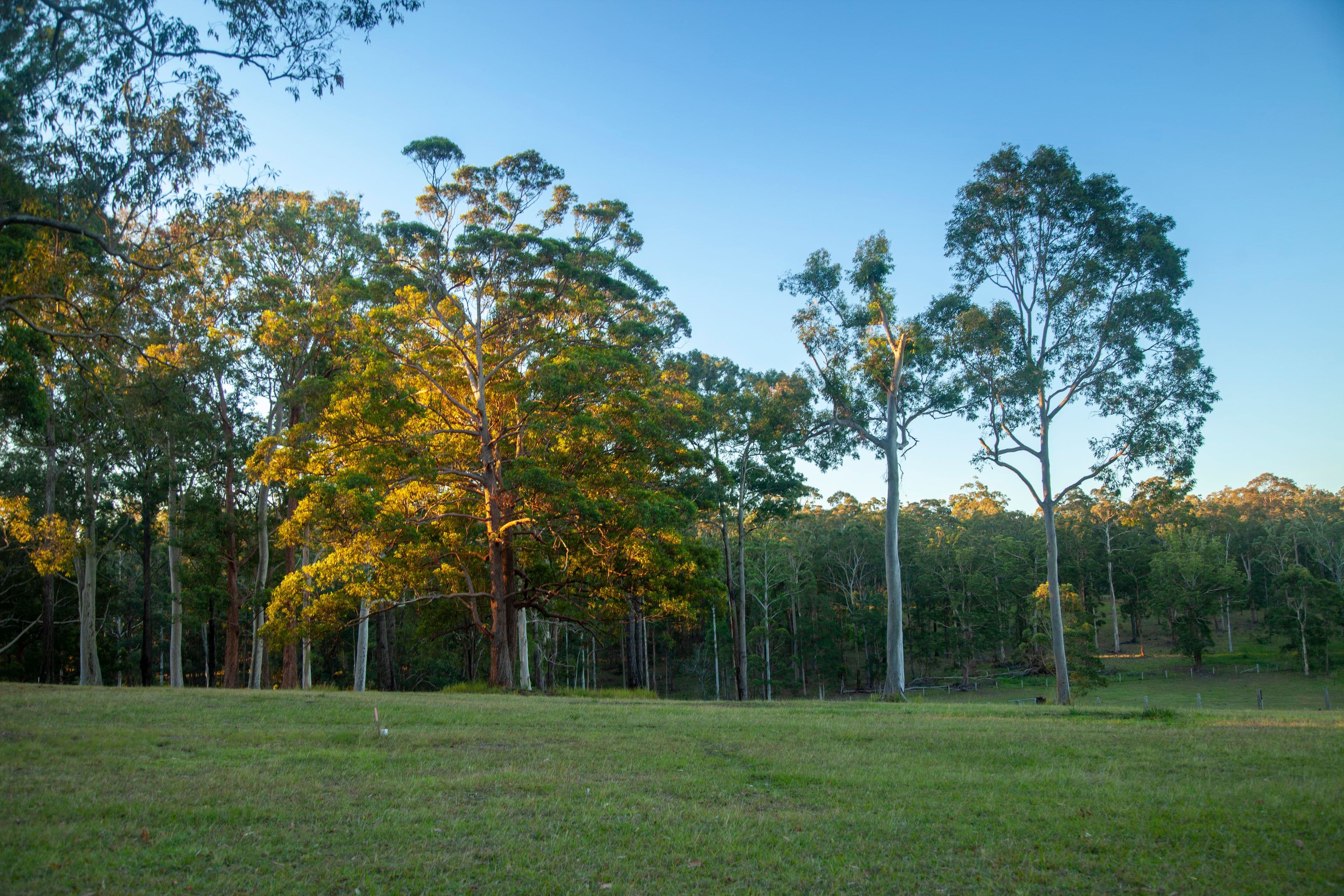 23 Chelmsbrook Drive, Rainbow Flat NSW 2430, Rainbow Flat - Thumbnail 8
