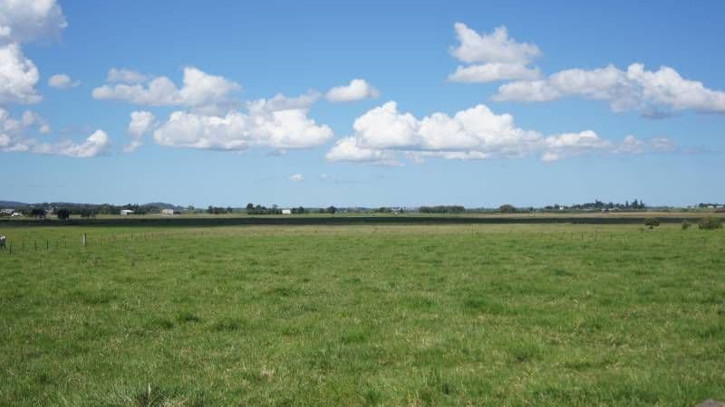 HINTON NSW 2321, Hinton - Image 1