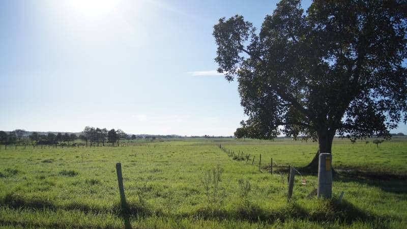 HINTON NSW 2321, Hinton - Thumbnail 2