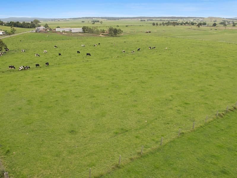 HINTON NSW 2321, Hinton - Thumbnail 3