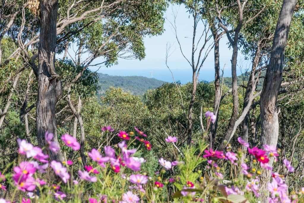 32 Walker Avenue, HEATHFIELD SA 5153, Heathfield - Thumbnail 2