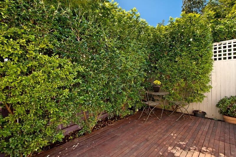 156 Corunna Road, STANMORE NSW 2048, Stanmore - Thumbnail 4