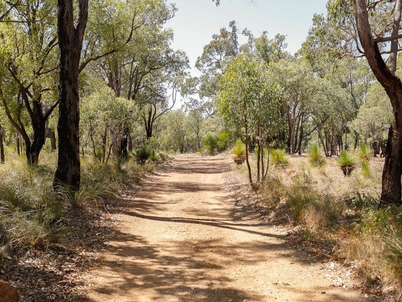 186 Jess Road, BULLSBROOK WA 6084, Bullsbrook - Thumbnail 4