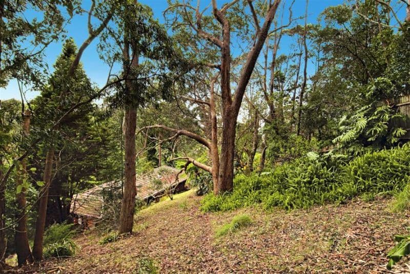 3 Domville Road, OTFORD NSW 2508, Otford - Thumbnail 5