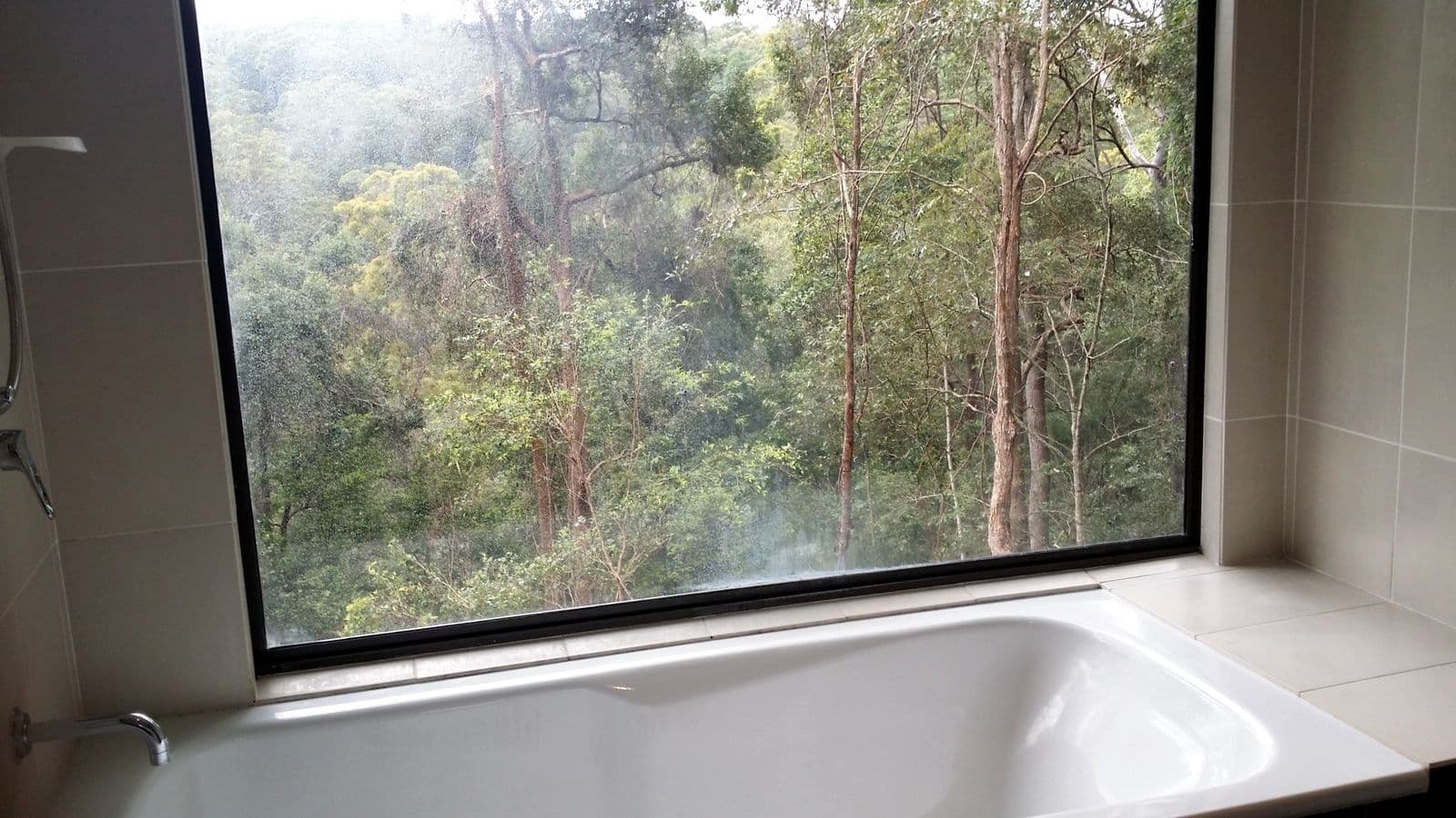 158 Mons School Road, Buderim QLD 4556, Buderim - Thumbnail 6