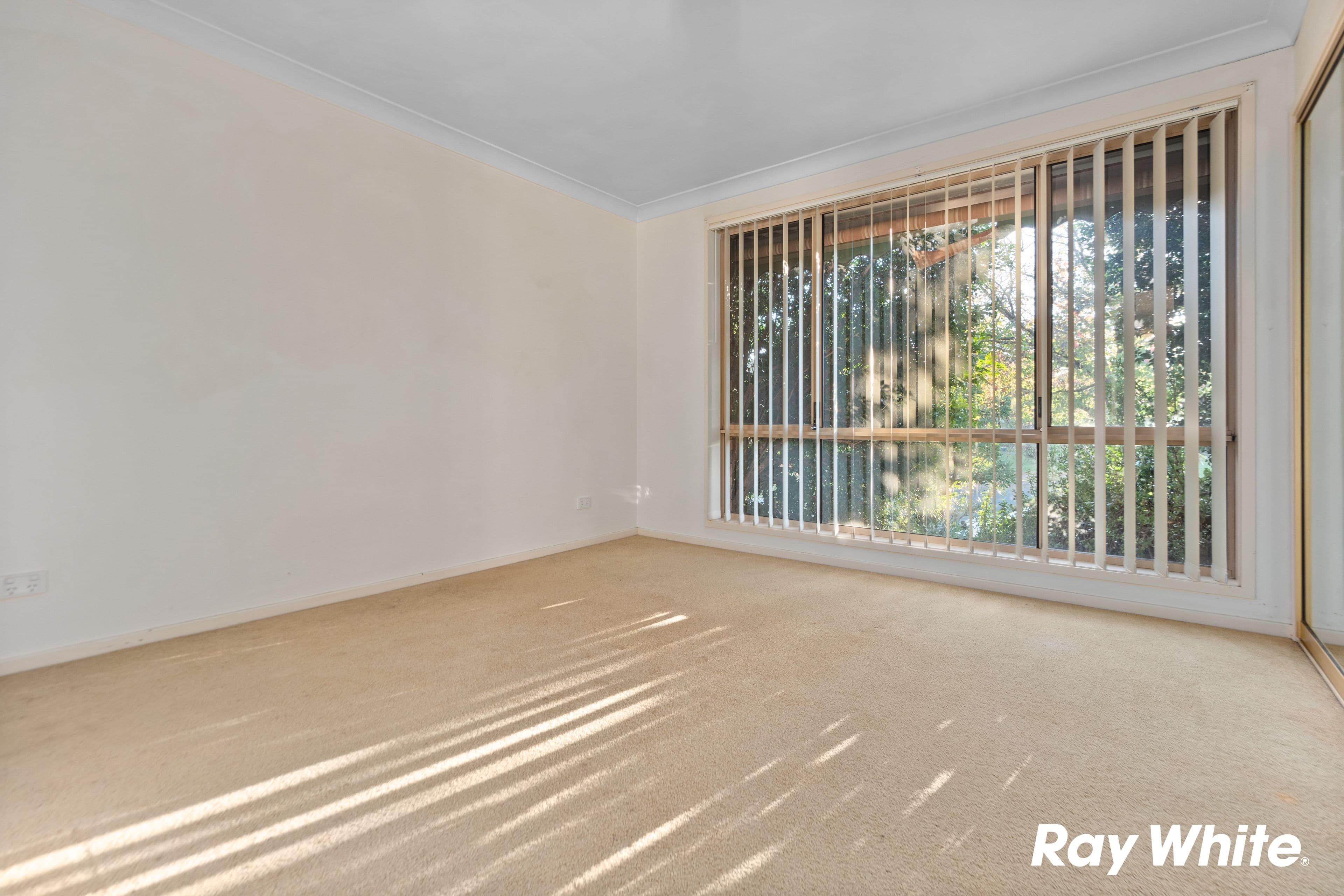 11 Priscilla Place, Quakers Hill NSW 2763, Quakers Hill - Thumbnail 4