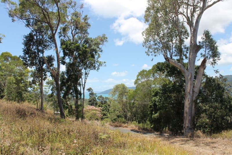 23 Black Road, RIORDANVALE QLD 4800, Riordanvale - Thumbnail 3