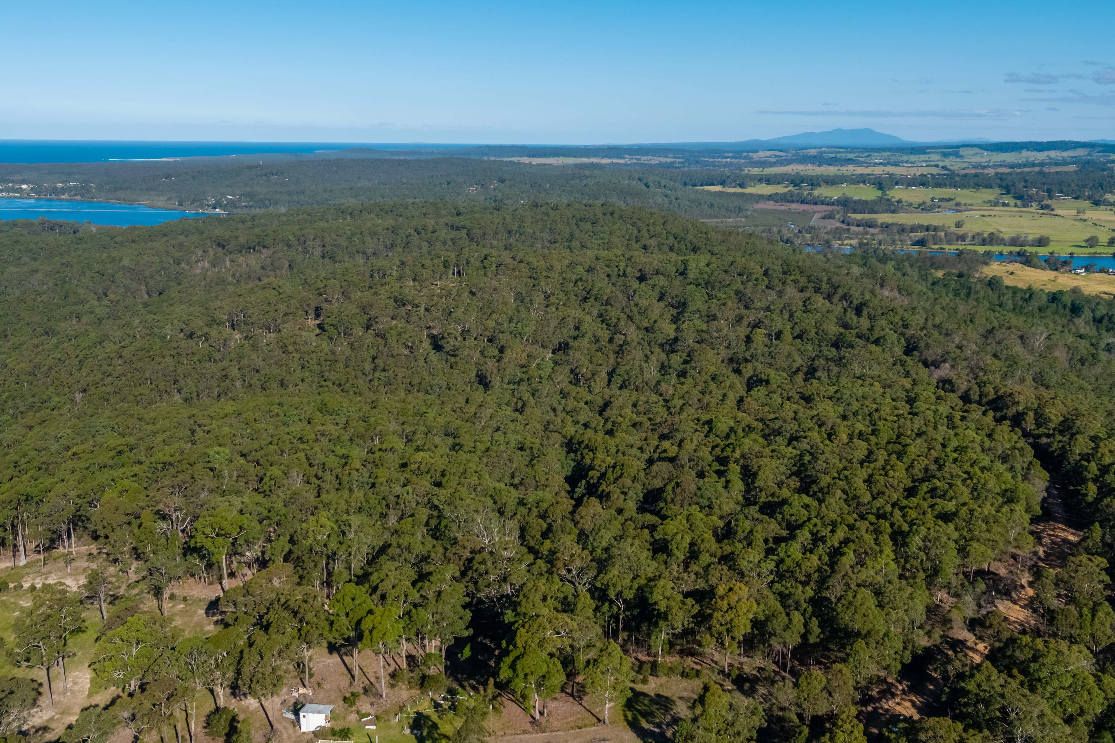 Lot 3 Phyllis Price Drive, Moruya NSW 2537, Moruya - Thumbnail 2