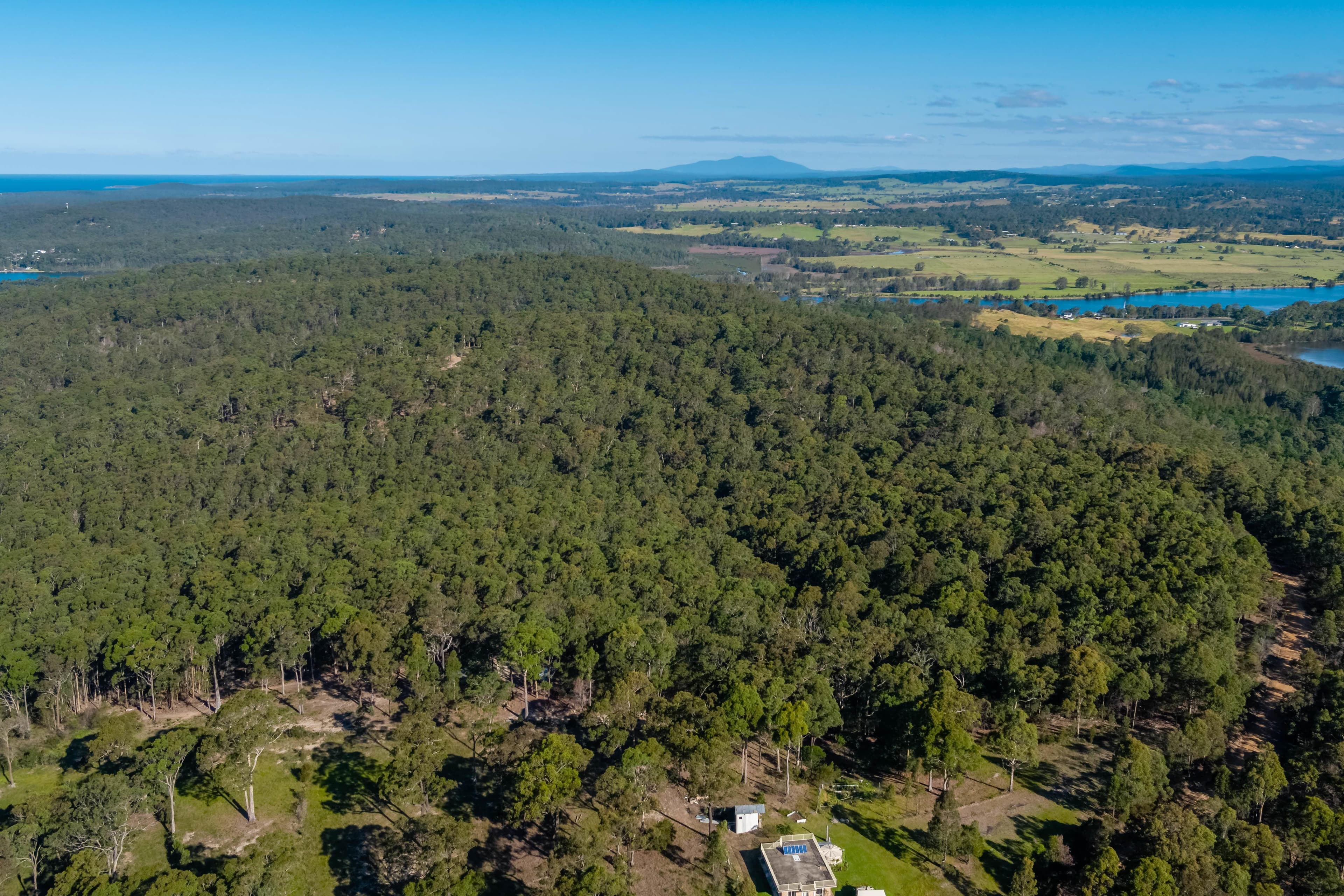 Lot 3 Phyllis Price Drive, Moruya NSW 2537, Moruya - Thumbnail 4