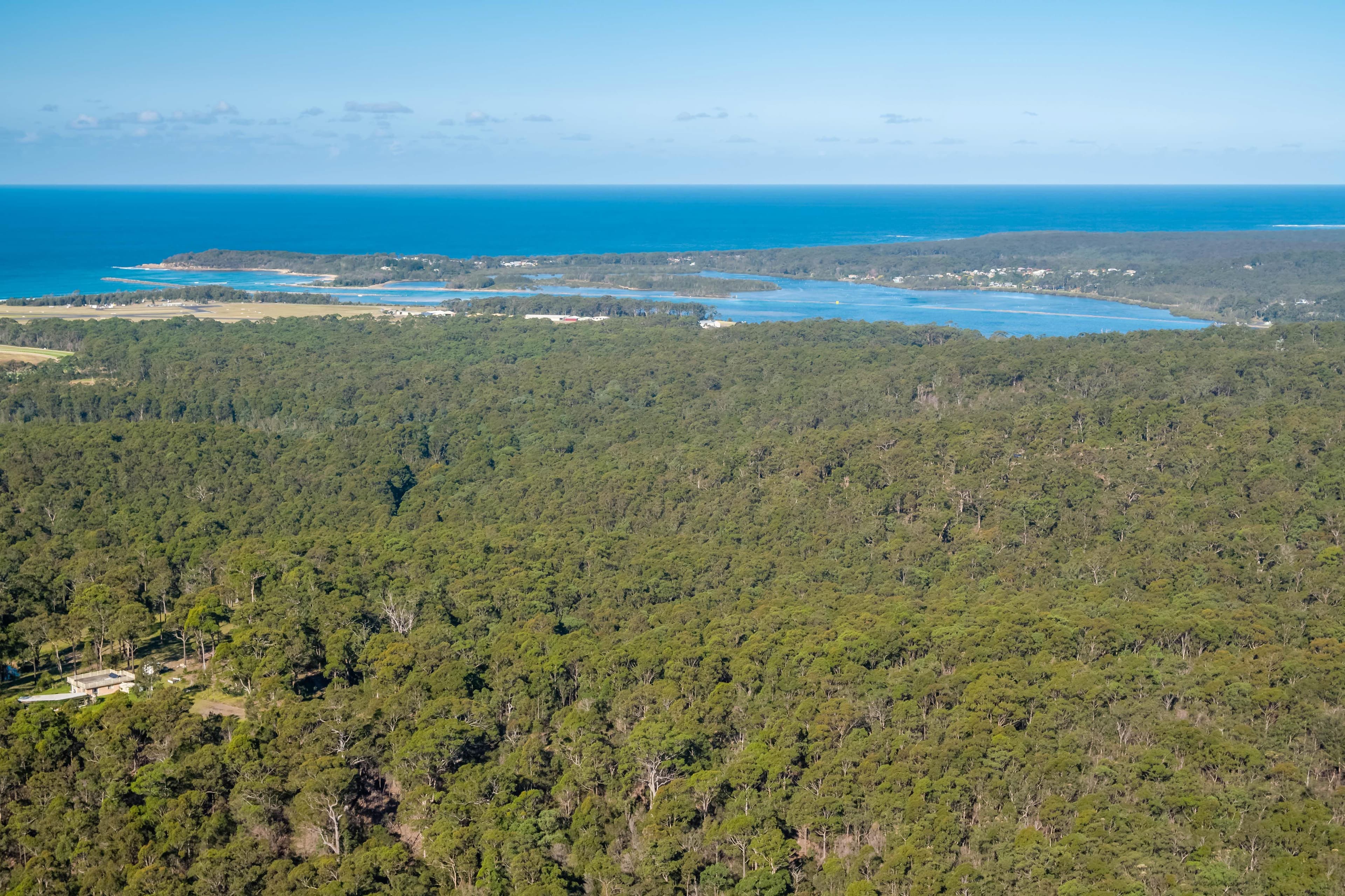 Lot 3 Phyllis Price Drive, Moruya NSW 2537, Moruya - Thumbnail 7