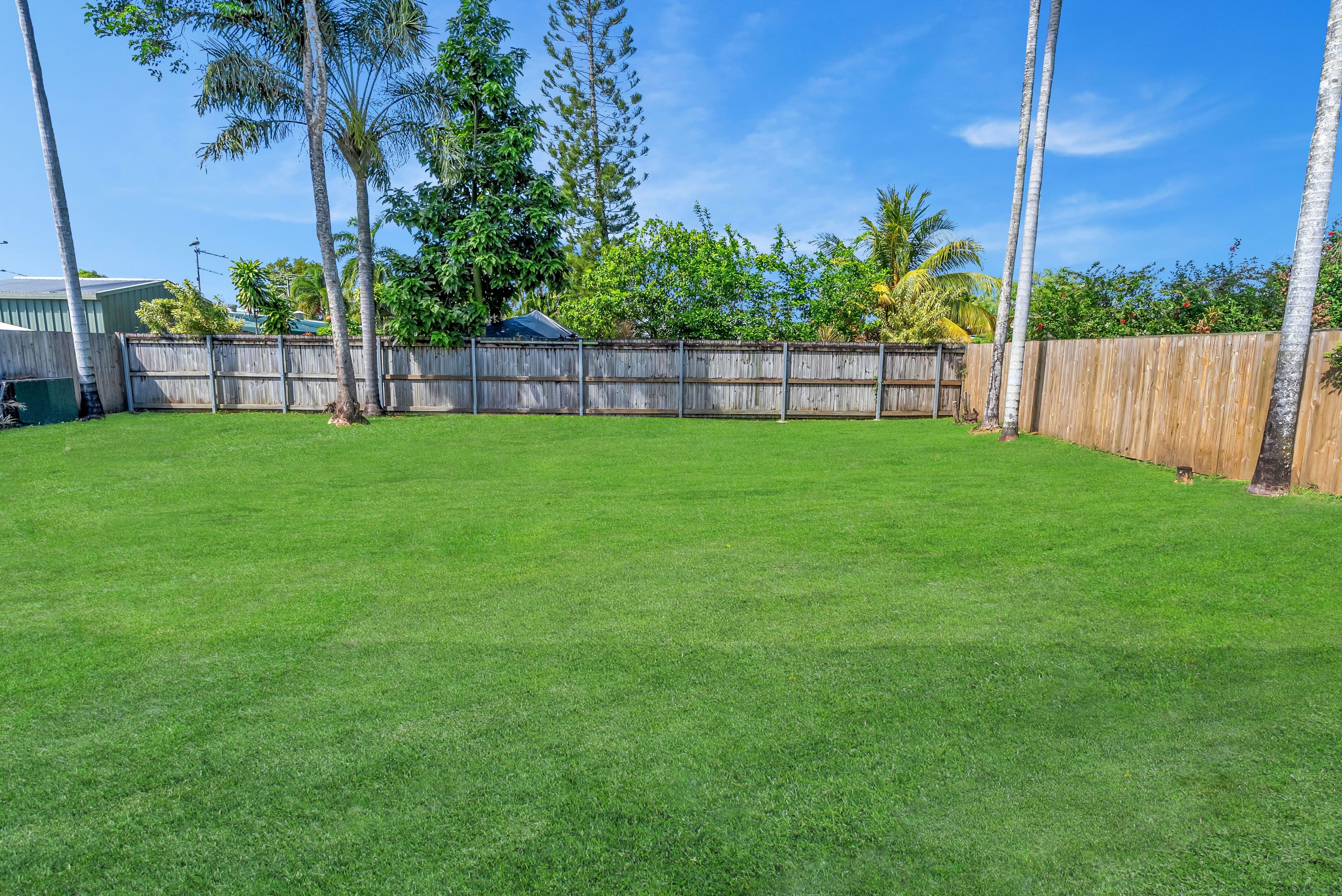 19 Napier Street, Trinity Park QLD 4879, Trinity Park - Thumbnail 3