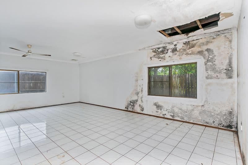 2 Limpet Close, Trinity Beach QLD 4879, Trinity Beach - Thumbnail 3
