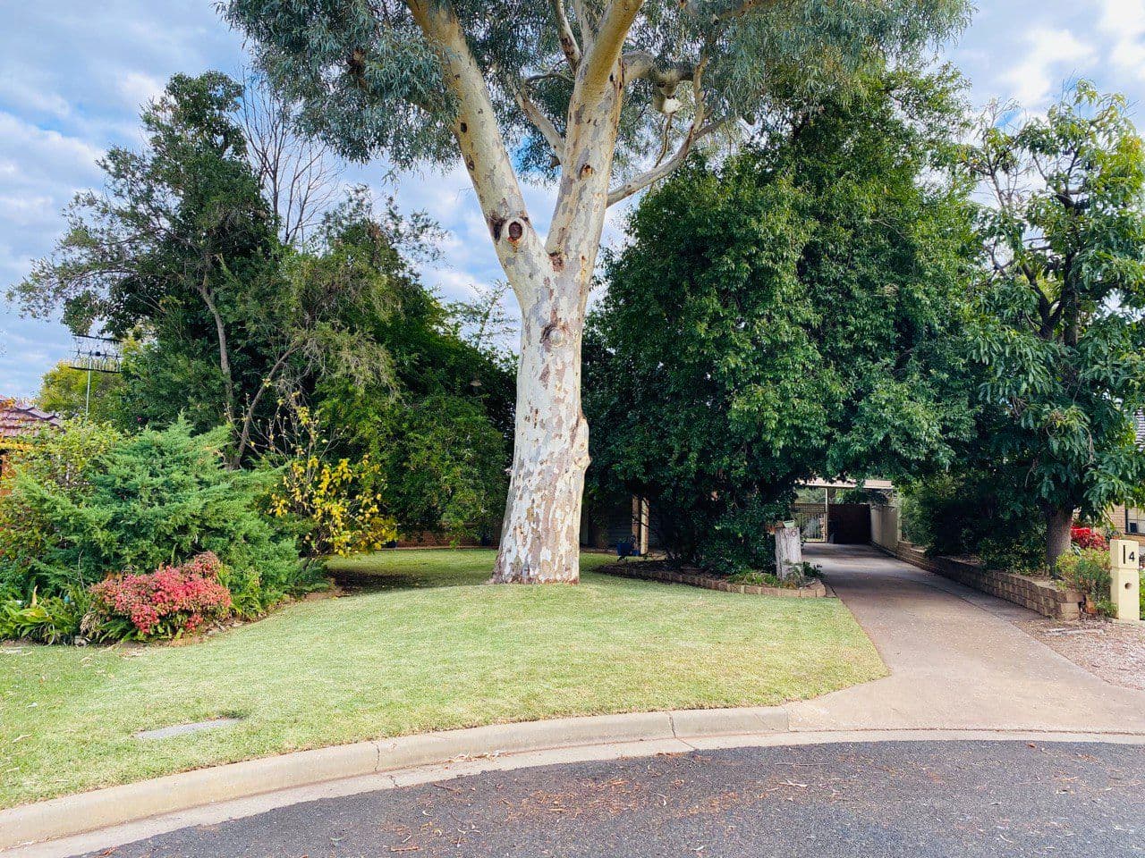 6 Craft Crescent, Condobolin NSW 2877, Condobolin - Thumbnail 2
