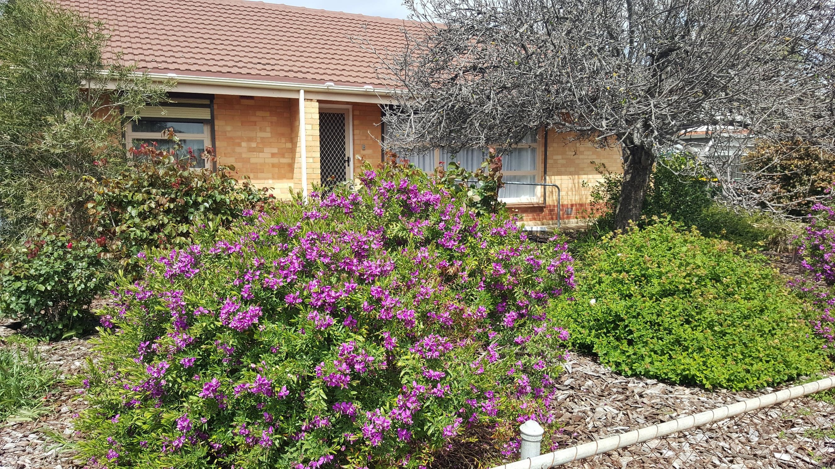 22 Hambridge Road, Davoren Park SA 5113, Davoren Park - Image 1