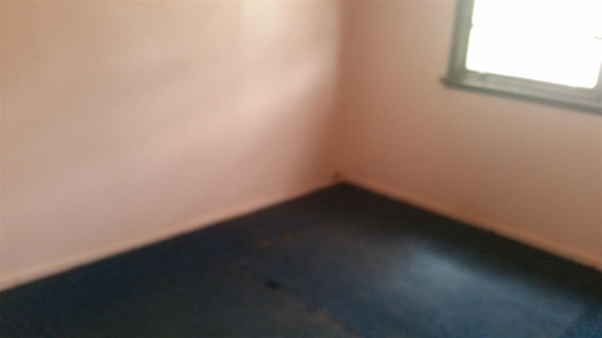 21 Pearce Street, Parkes - Thumbnail 5